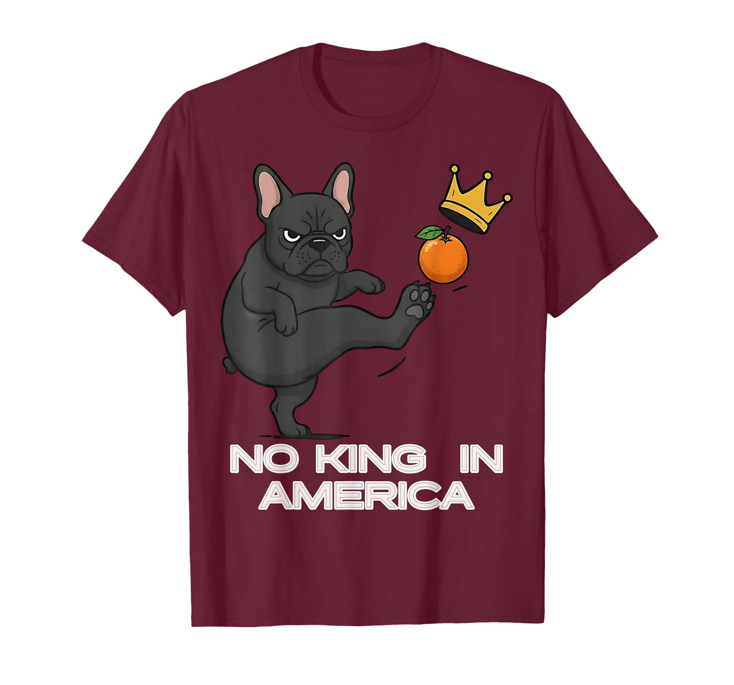 No Kings Protest Sign, We The People, in America No Kings T-Shirt