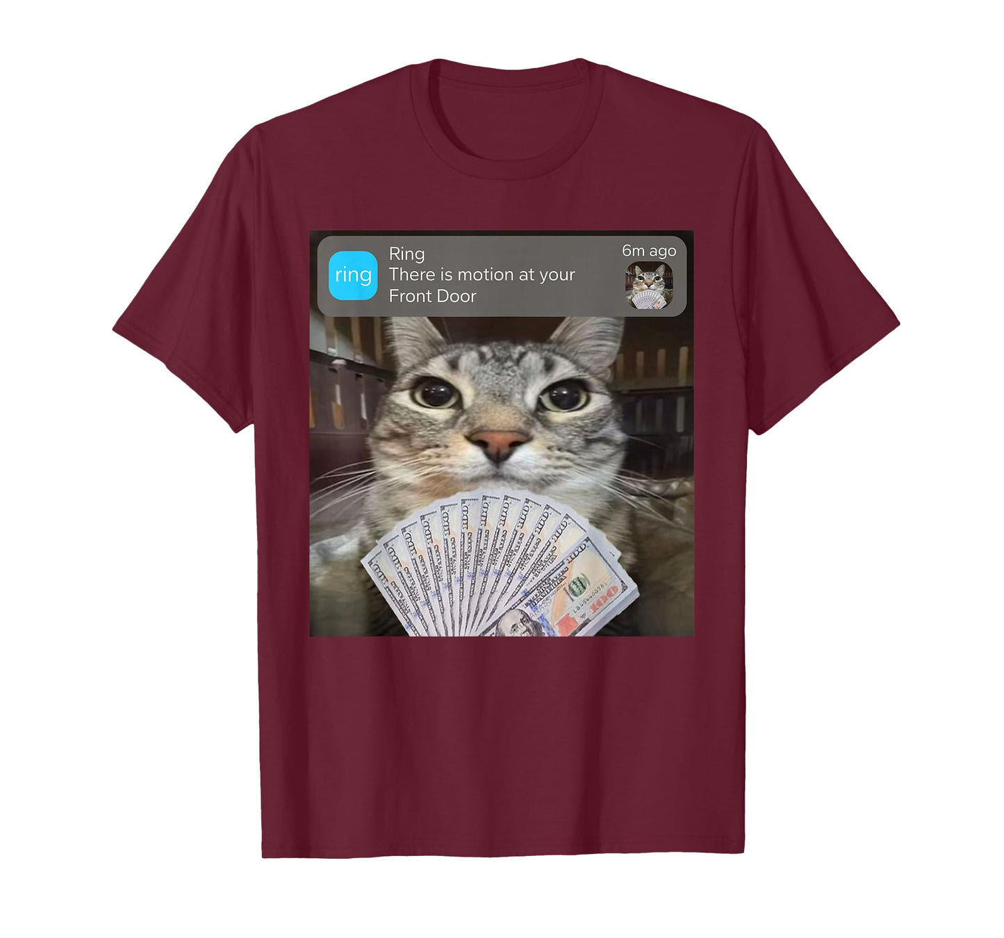 Ring There is Motion at Your Front Door Funny Meme Cute T-Shirt