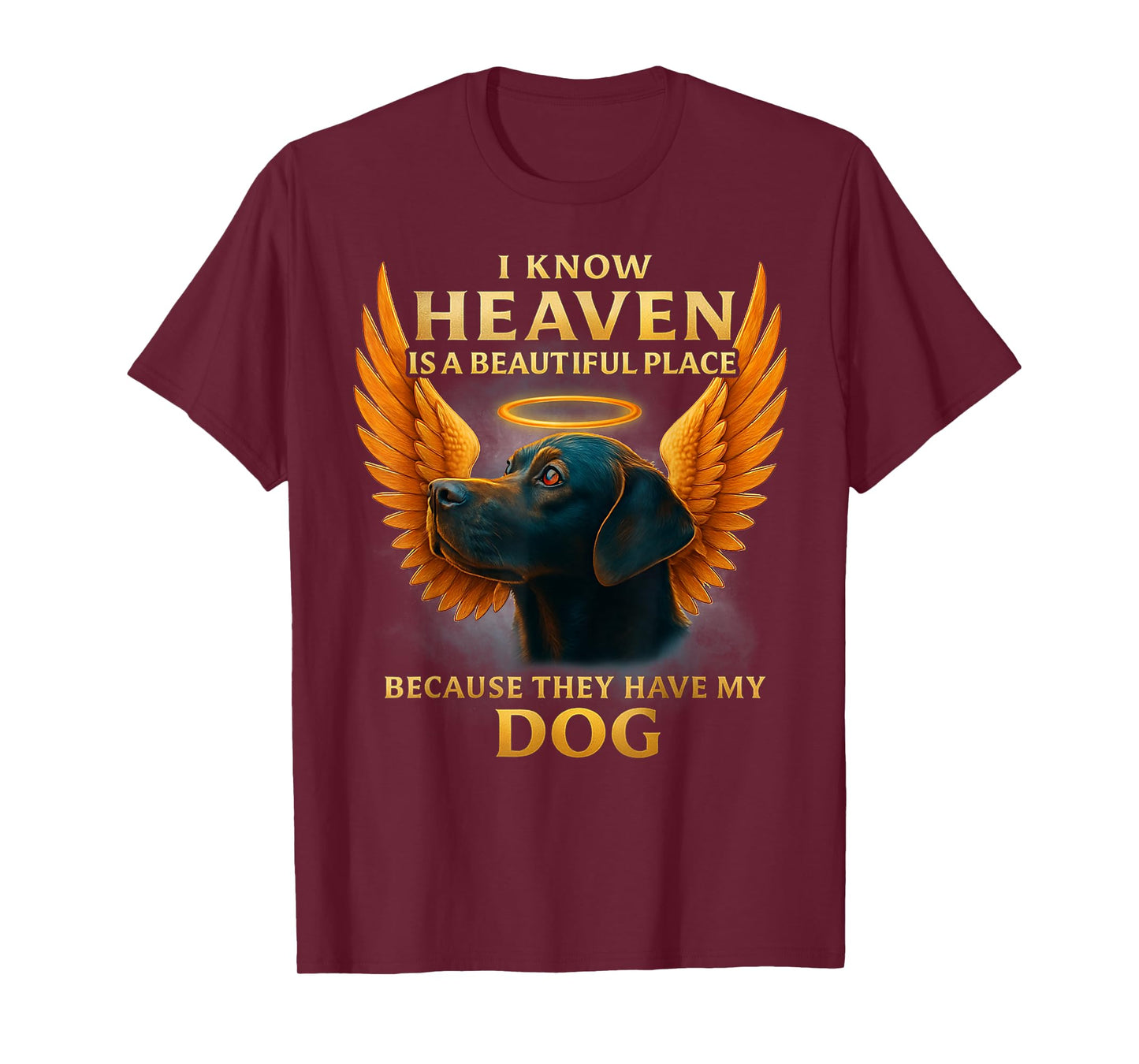 I Know Heaven is A Beautiful Place Because They Have My Dog T-Shirt