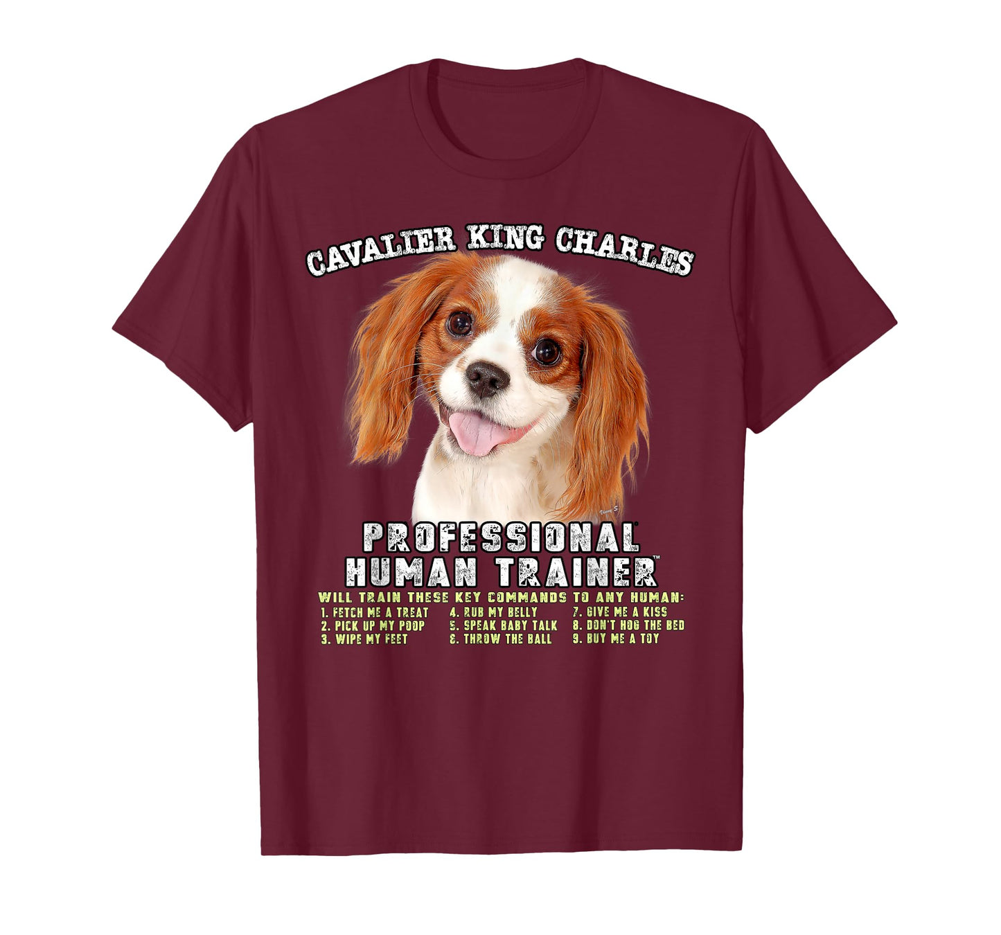 Cavalier King Charles Spaniel Professional Human Trainer T-Shirt