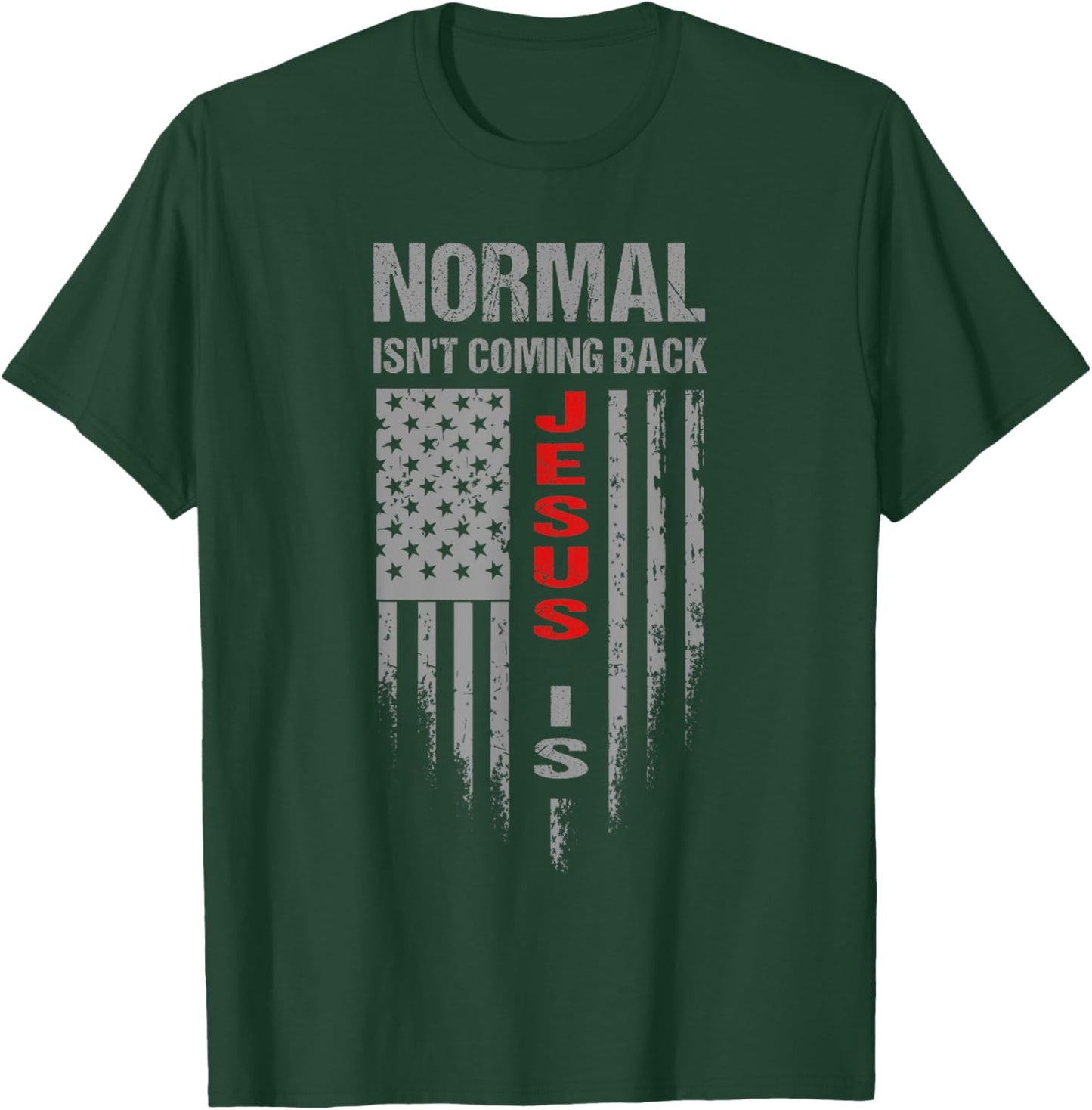 Normal Isn't Coming Back Jesus Is Christian Faith - Flag T-Shirt - T-Shirt | Forest