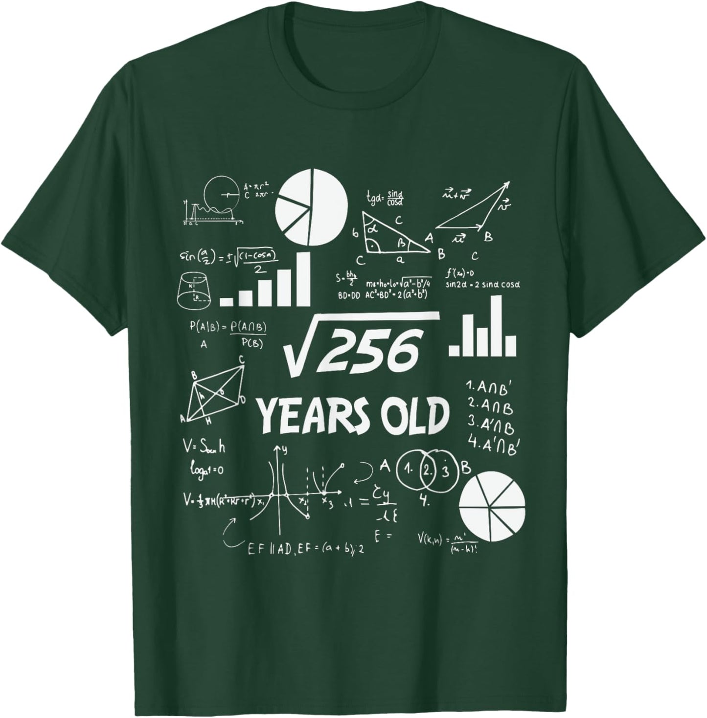 16th Birthday Square Root of 256 Math 16 Years Old Birthday T-Shirt - T-Shirt | Forest