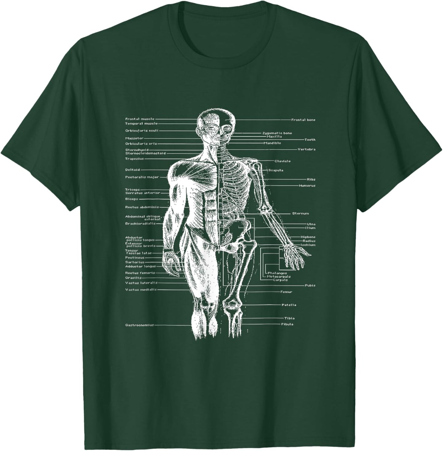 Human Body Muscle Anatomy Doctor T-Shirt - T-Shirt | Forest