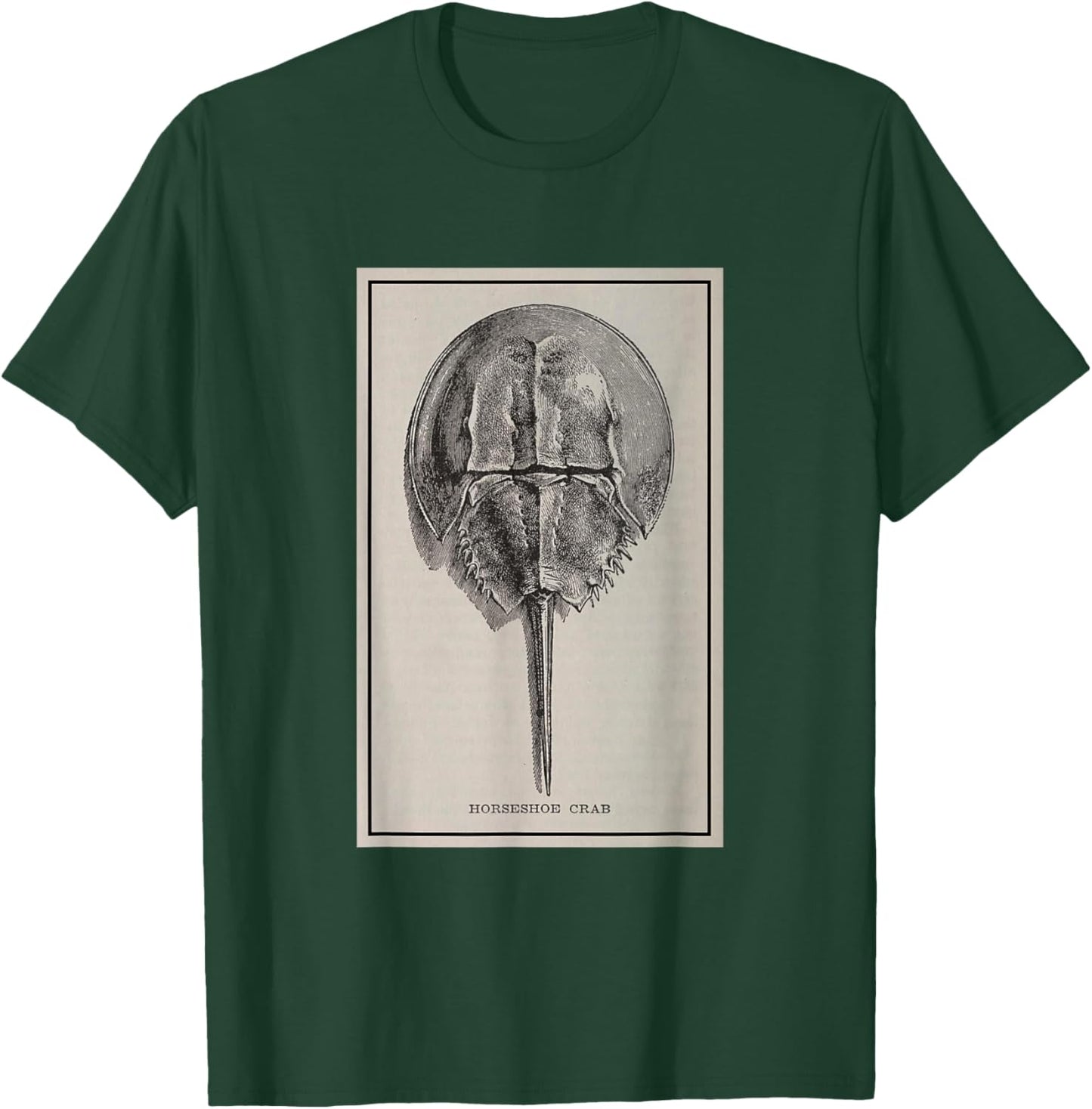 Vintage Horseshoe Crab Illustration (1923) T-Shirt - T-Shirt | Forest