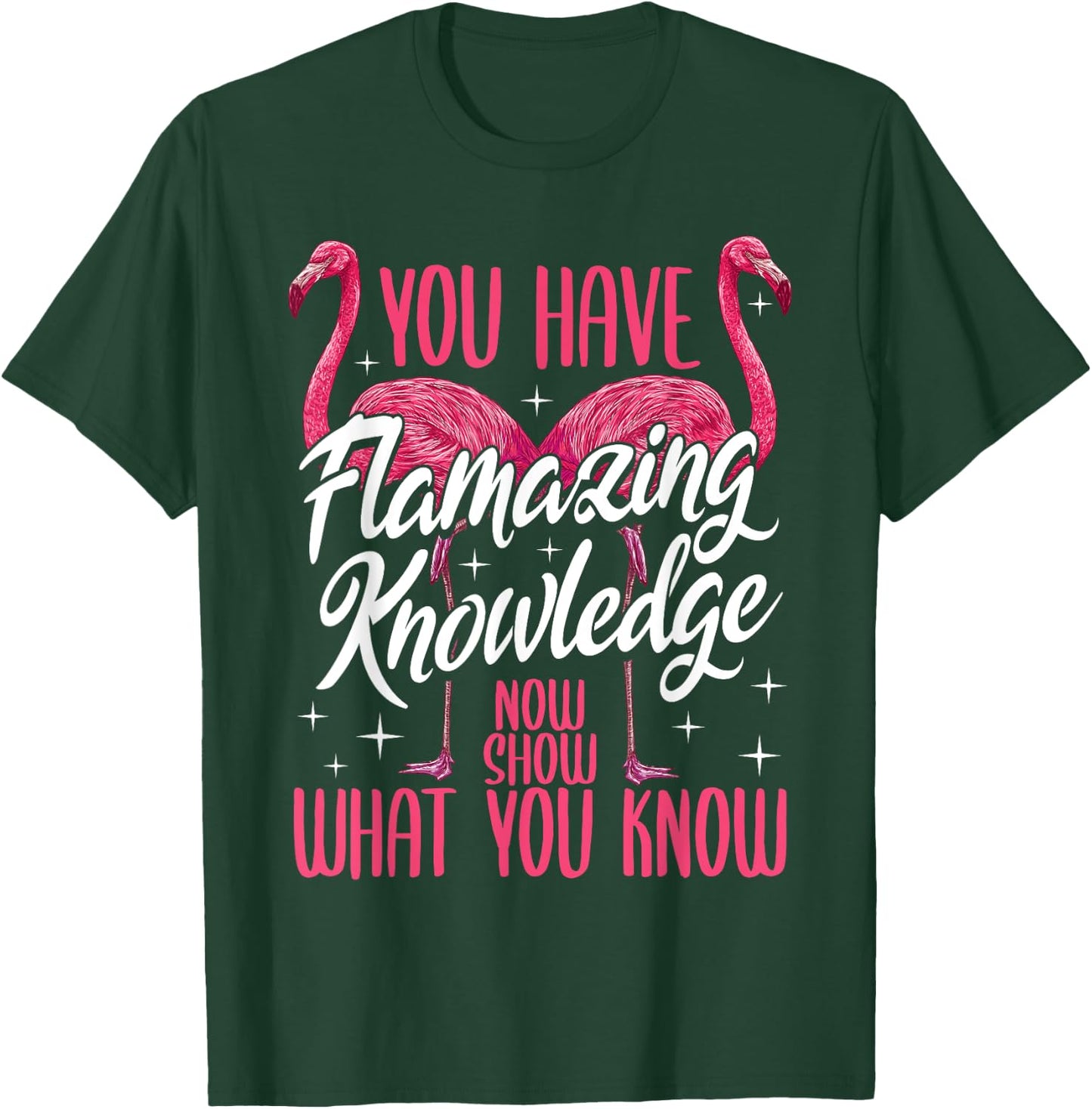 Test Day Teacher You Have Flamazing Knowledge Flamingo T-Shirt - T-Shirt | Forest