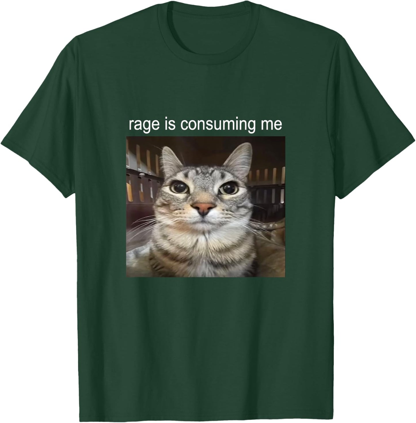 Rage is Consuming Me Silly Staring Cat Meme T-Shirt - T-Shirt | Forest