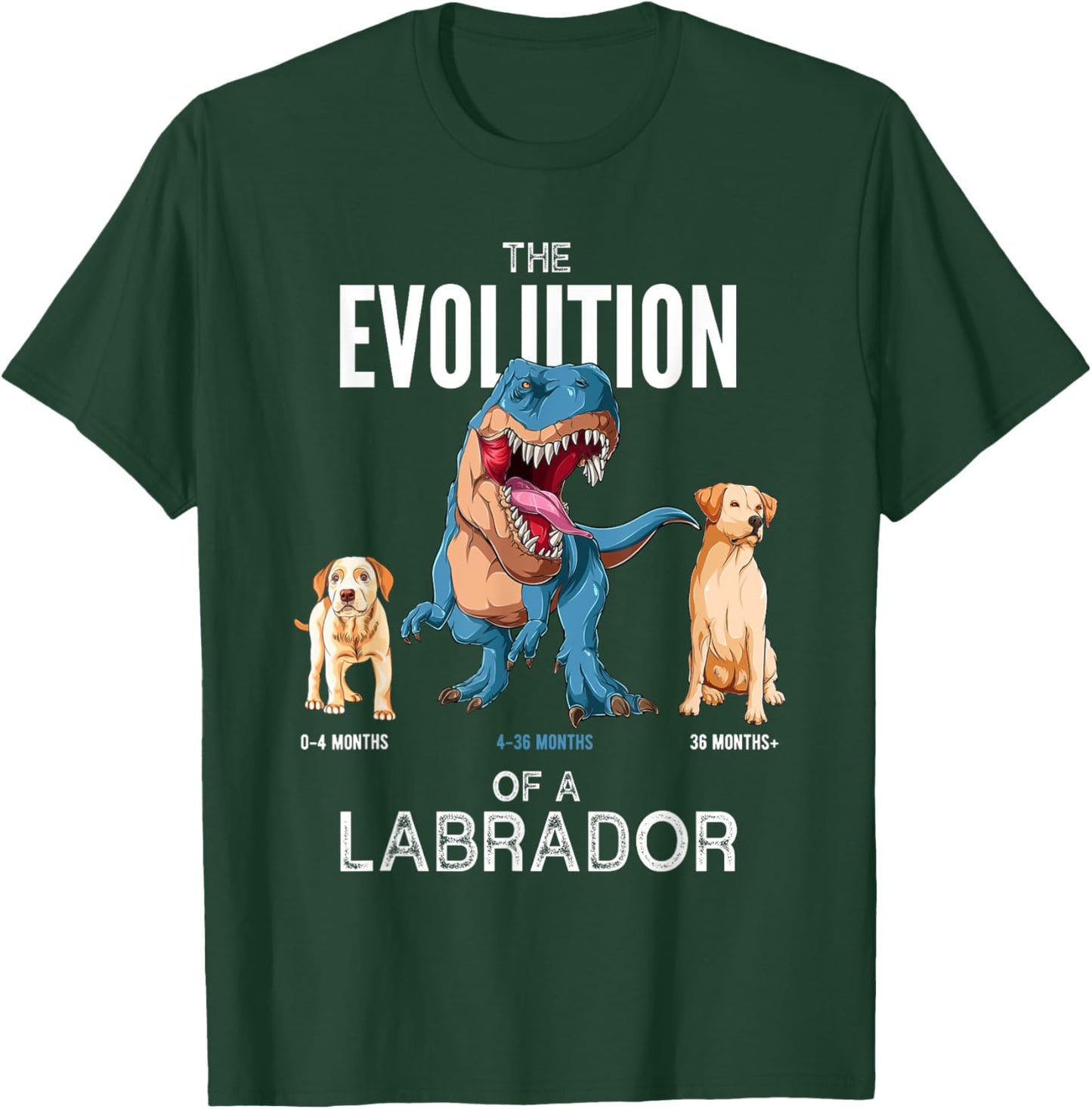 The Evolution of a Labrador or Evolution of dogs T-Shirt - T-Shirt | Forest