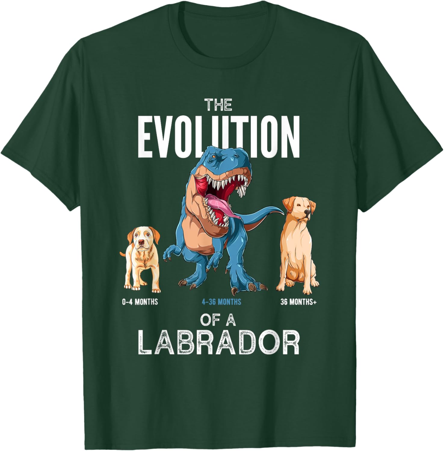 The Evolution of a Labrador or Evolution of dogs T-Shirt - T-Shirt | Forest