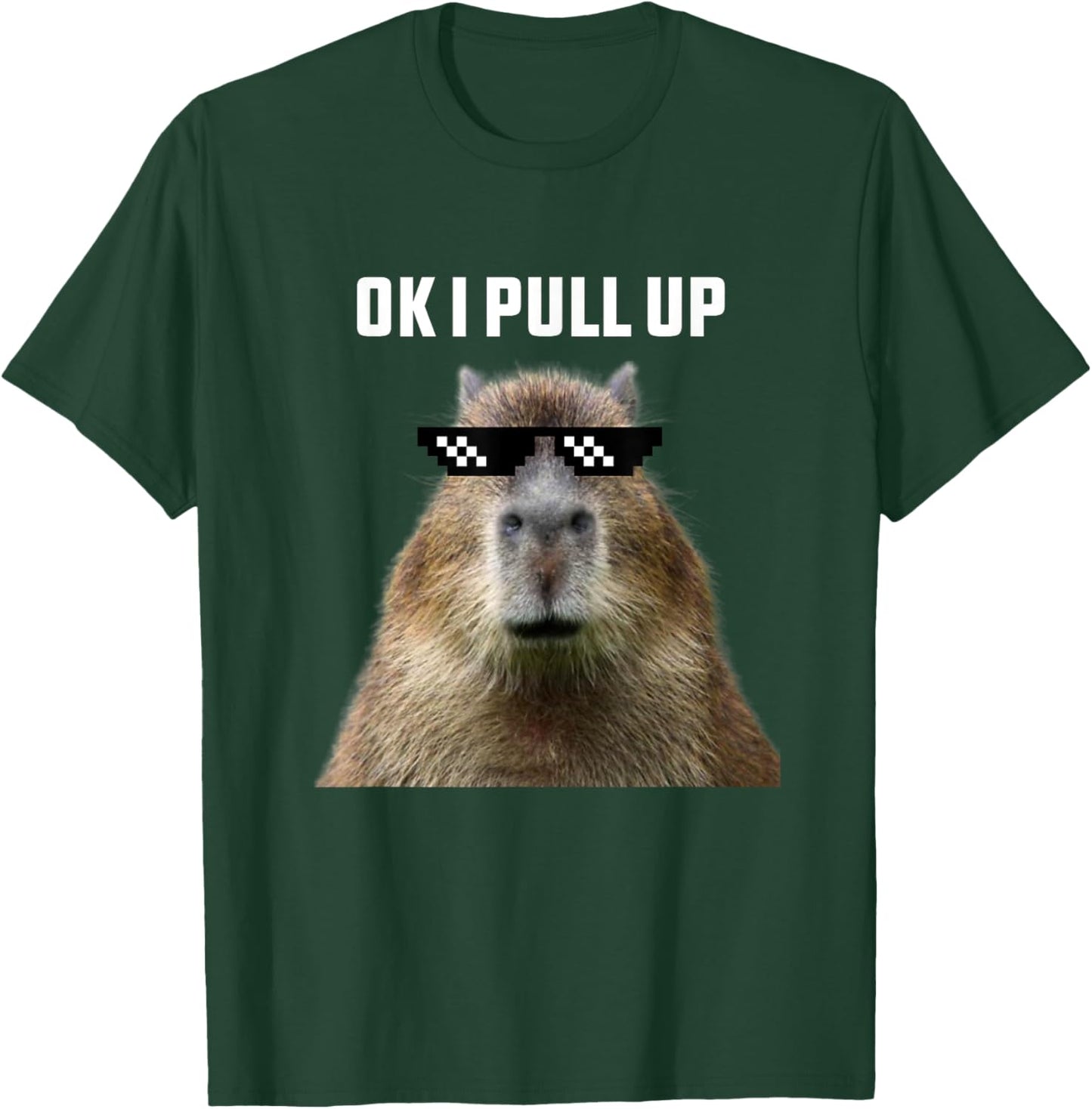 Ok I Pull Up Capybara , Black T-Shirt - T-Shirt | Forest