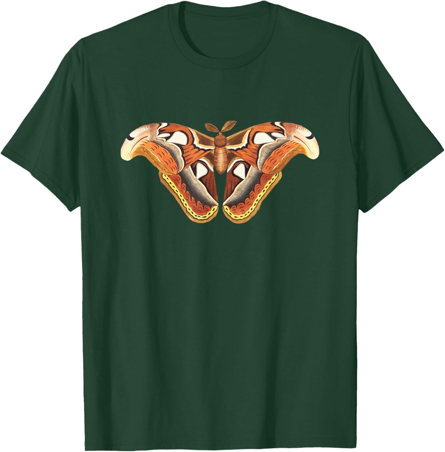 Atlas Moth Butterfly Insect Illustration & Women T-Shirt - T-Shirt | Forest