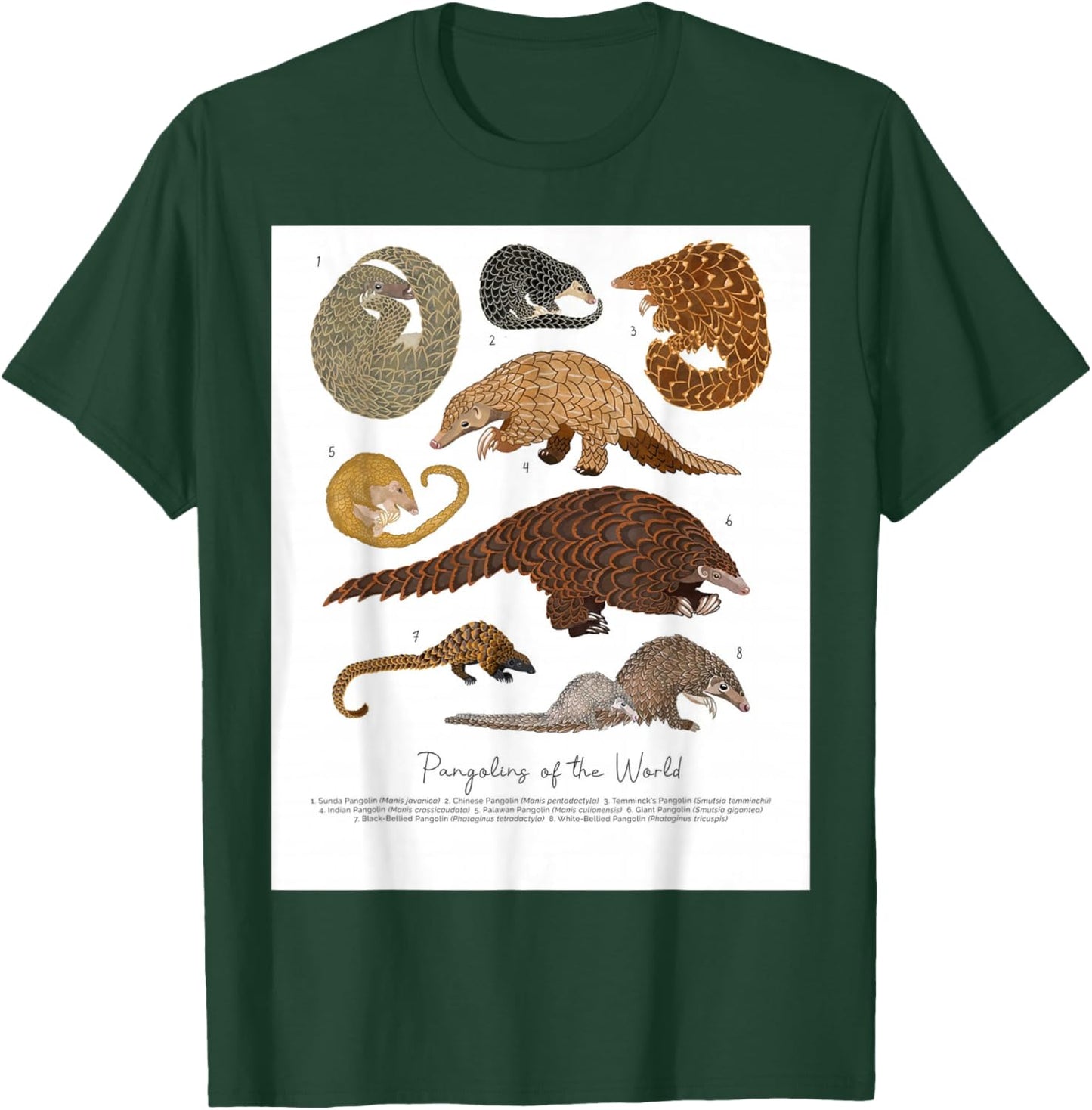 Pangolins of the World, Loves Pangolins Gifts T-Shirt - T-Shirt | Forest
