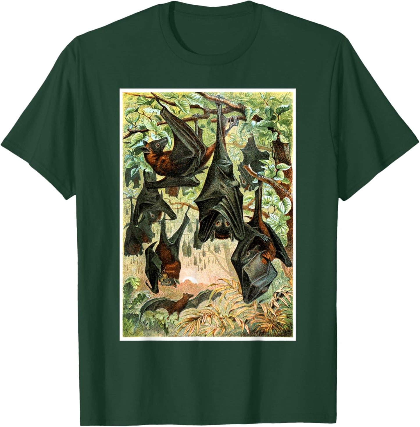 Flying Foxes Bats Hanging Bat Vintage Animal Illustration T-Shirt - T-Shirt | Forest