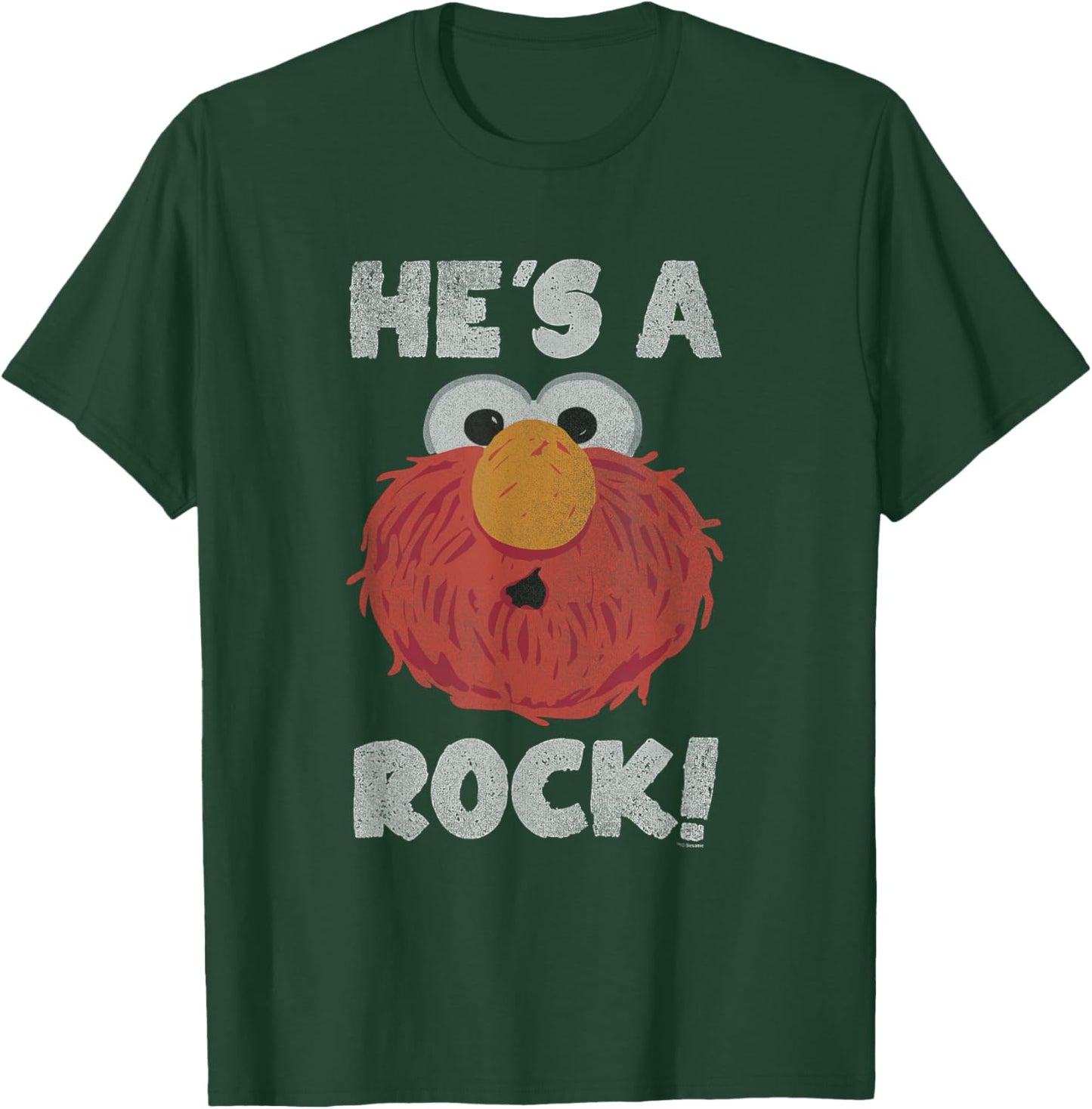 Sesame Street He's A Rock T-Shirt - T-Shirt | Forest