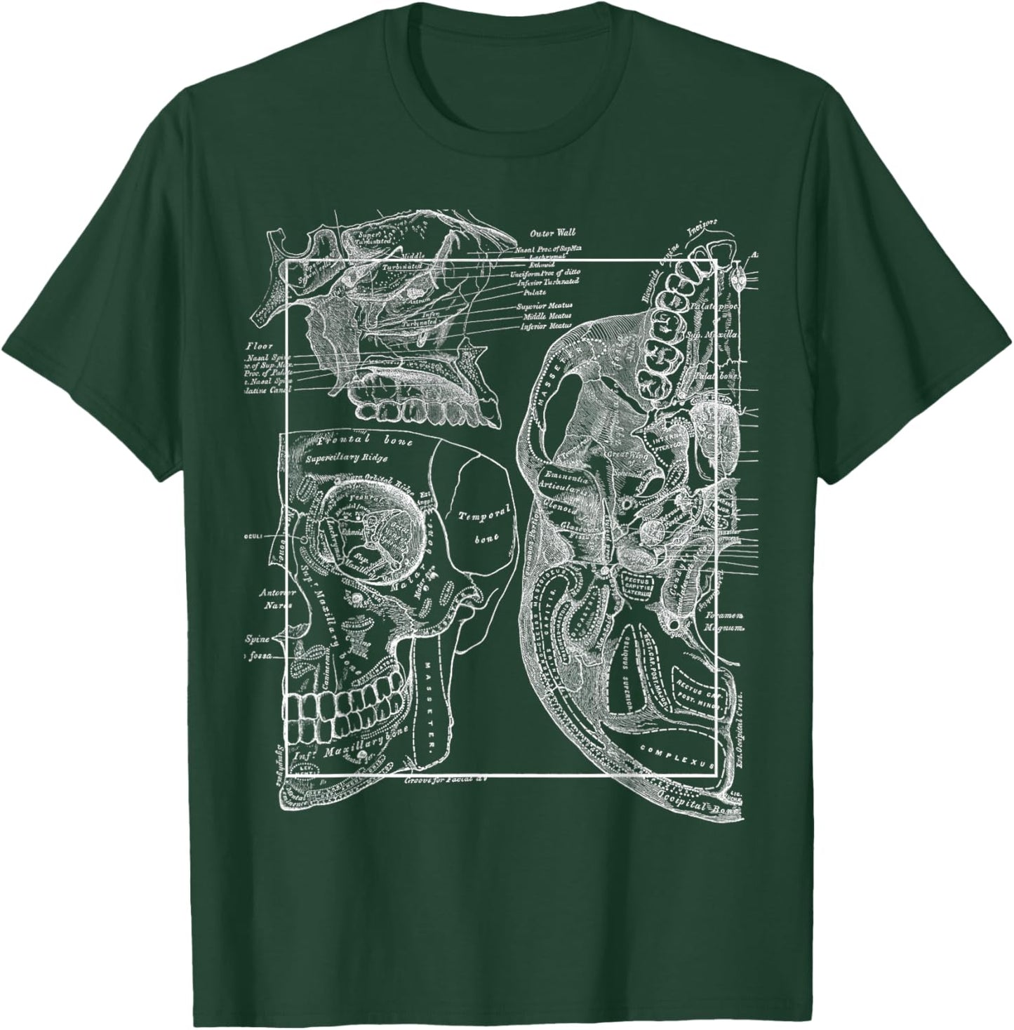 Neuroscience Gifts Anatomy Of The Human Cranial Bones T-Shirt - T-Shirt | Forest