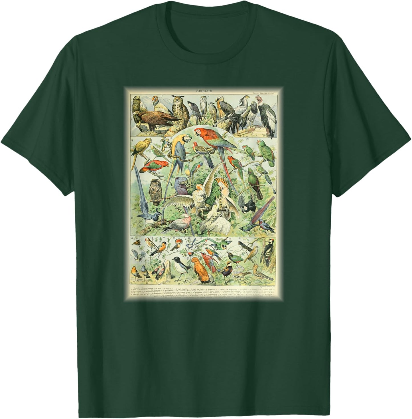 Scientific Bird Illustration Lover Biologist Birding Gift T-Shirt - T-Shirt | Forest