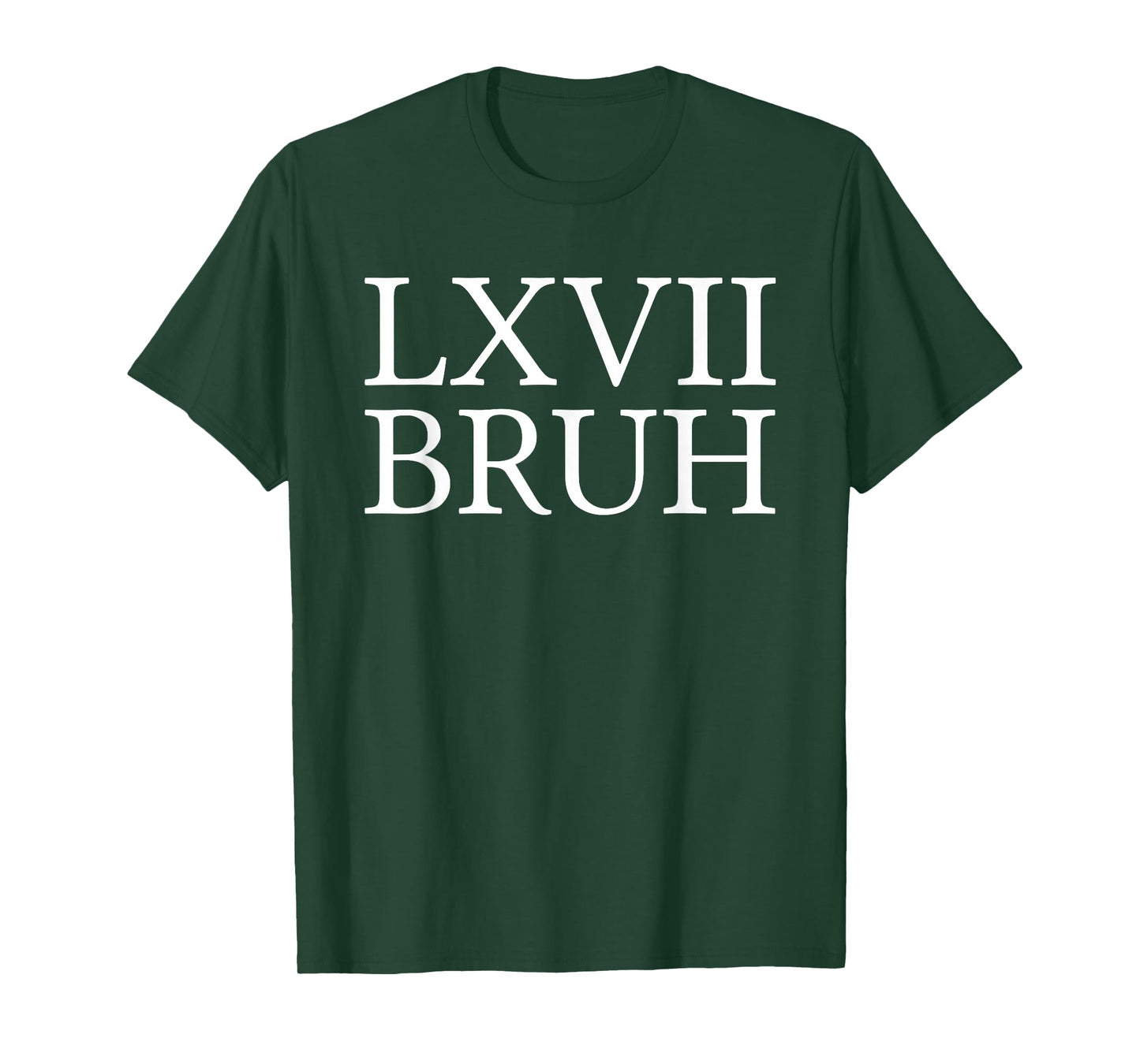67 History Meme Six Seven Bruh Funny History Teacher T-Shirt