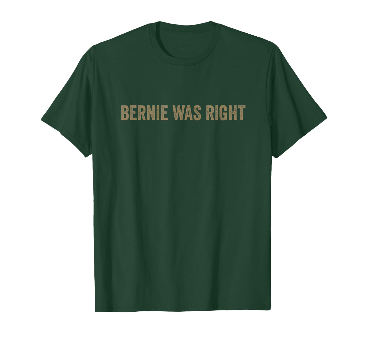 Bernie Sanders Bernie Was Right Indivisible No Kings Protest T-Shirt