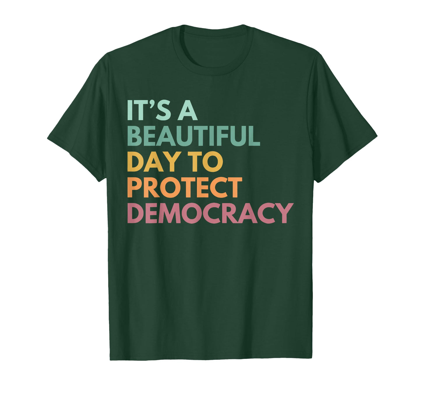 It's A Beautiful Day to Protect Democracy No Kings Protest T-Shirt