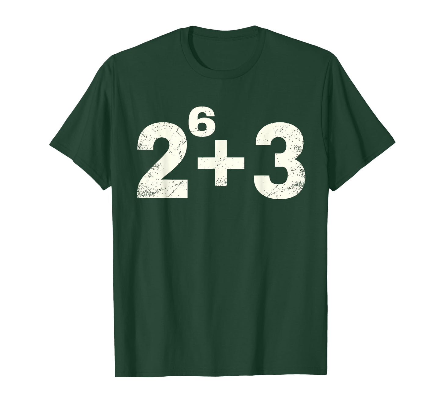 67ENDY 67 Year Old Funny Teacher 67th Birthday T-Shirt