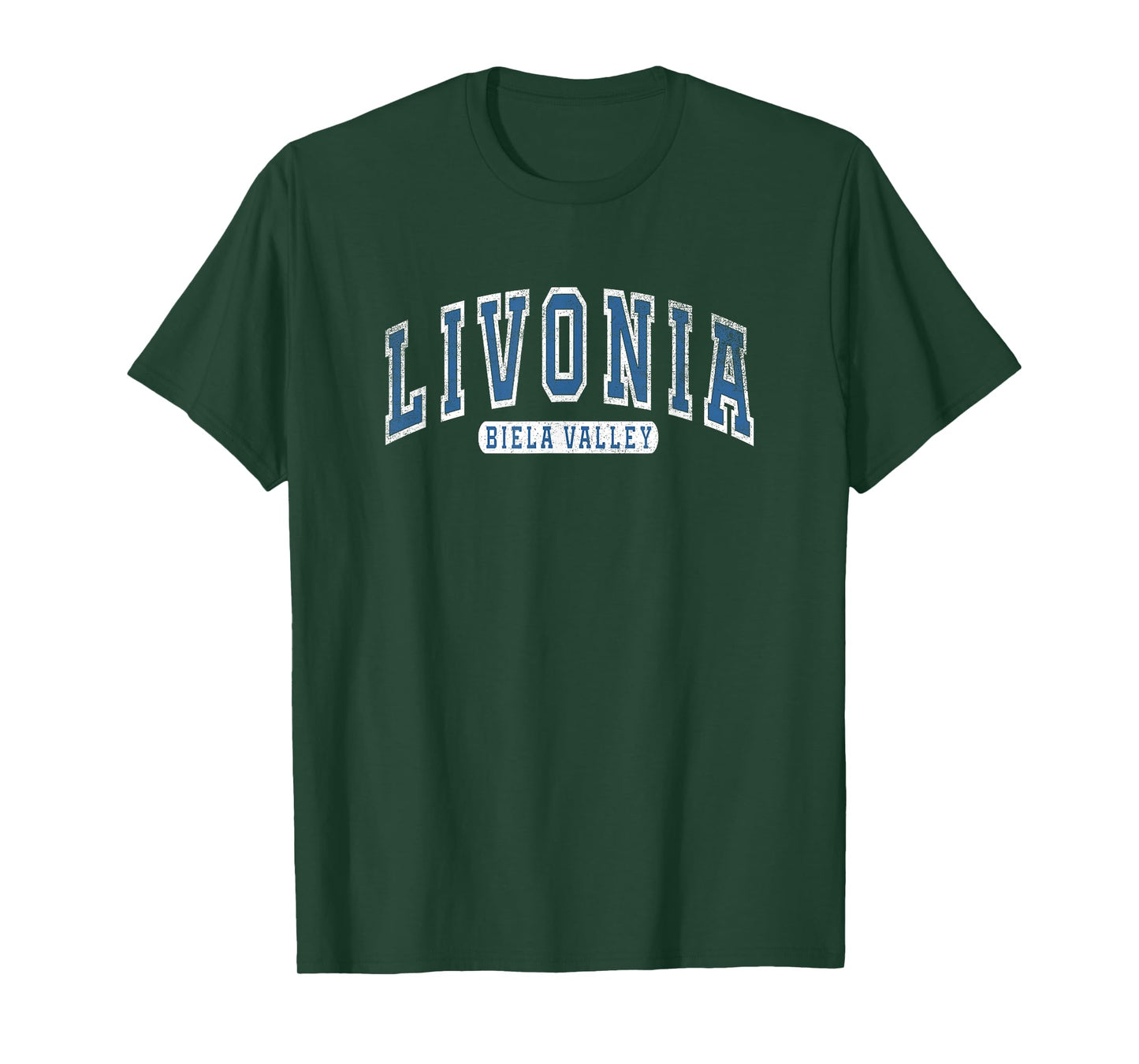 Teamzad Livonia Varsity Dayz Mountains Nature Camping Gamer Gift T-Shirt, Small, Black