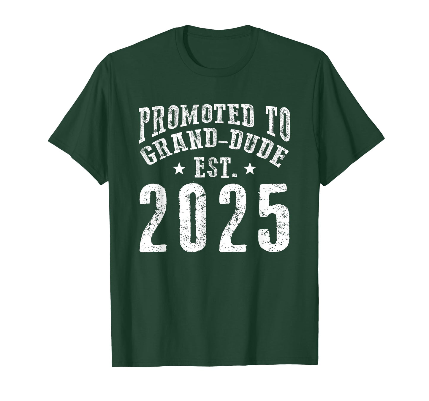 Promoted To Grand-Dude Est 2025 New Coming Grandpa To Be 25 T-Shirt