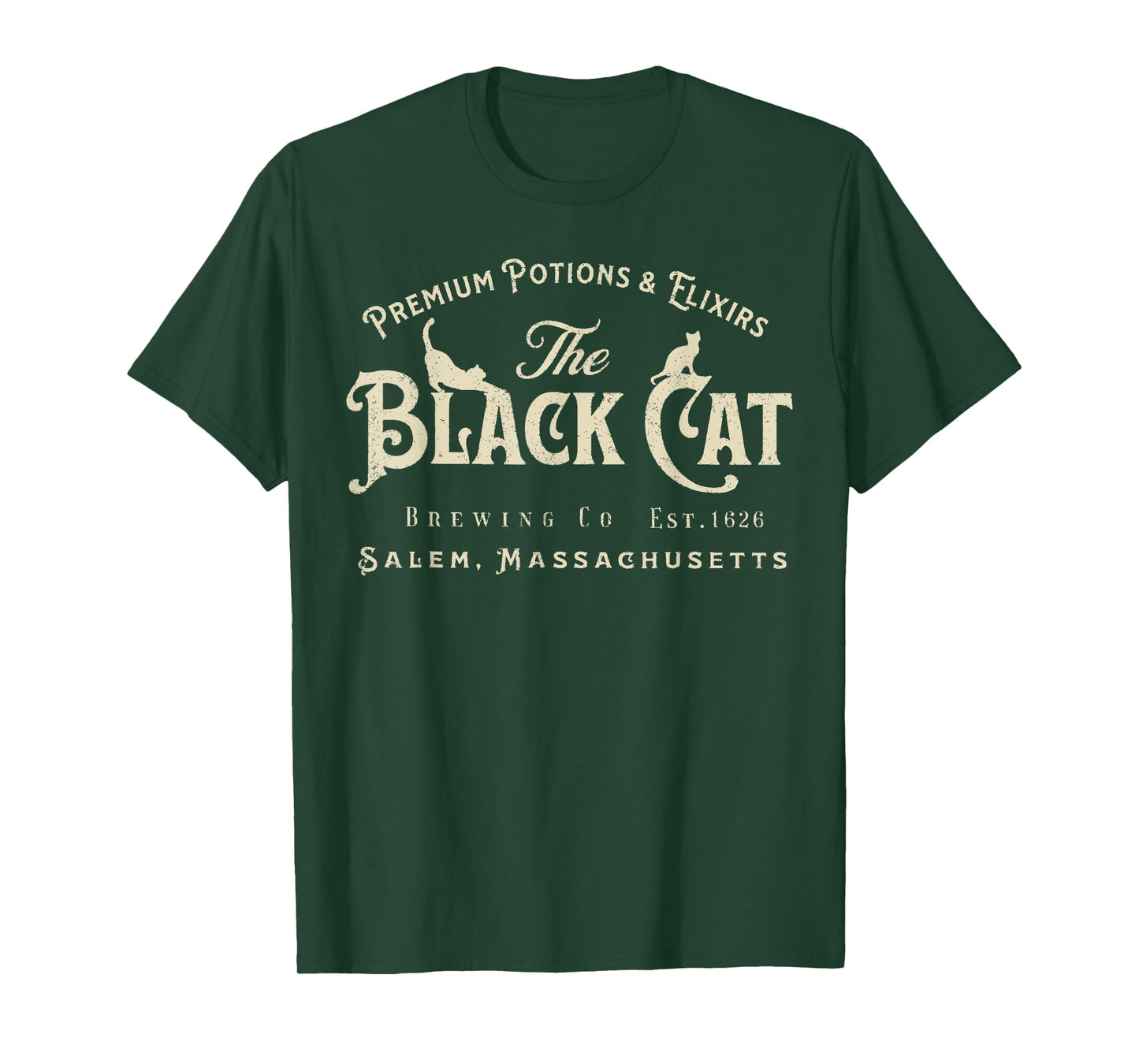 The Black Cat Witchy Salem Est 1626 Halloween Cat Lover Gift T-Shirt