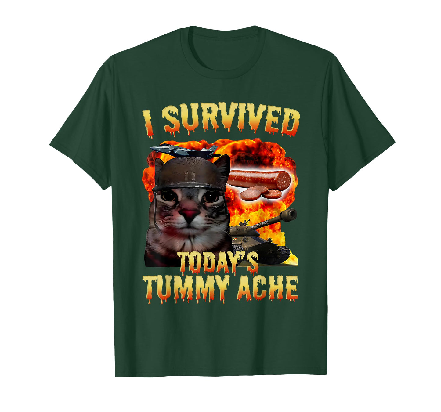 Tummy Ache Survivor Cat Meme Funny Saying Cats Animals Men Women Kids T-Shirt
