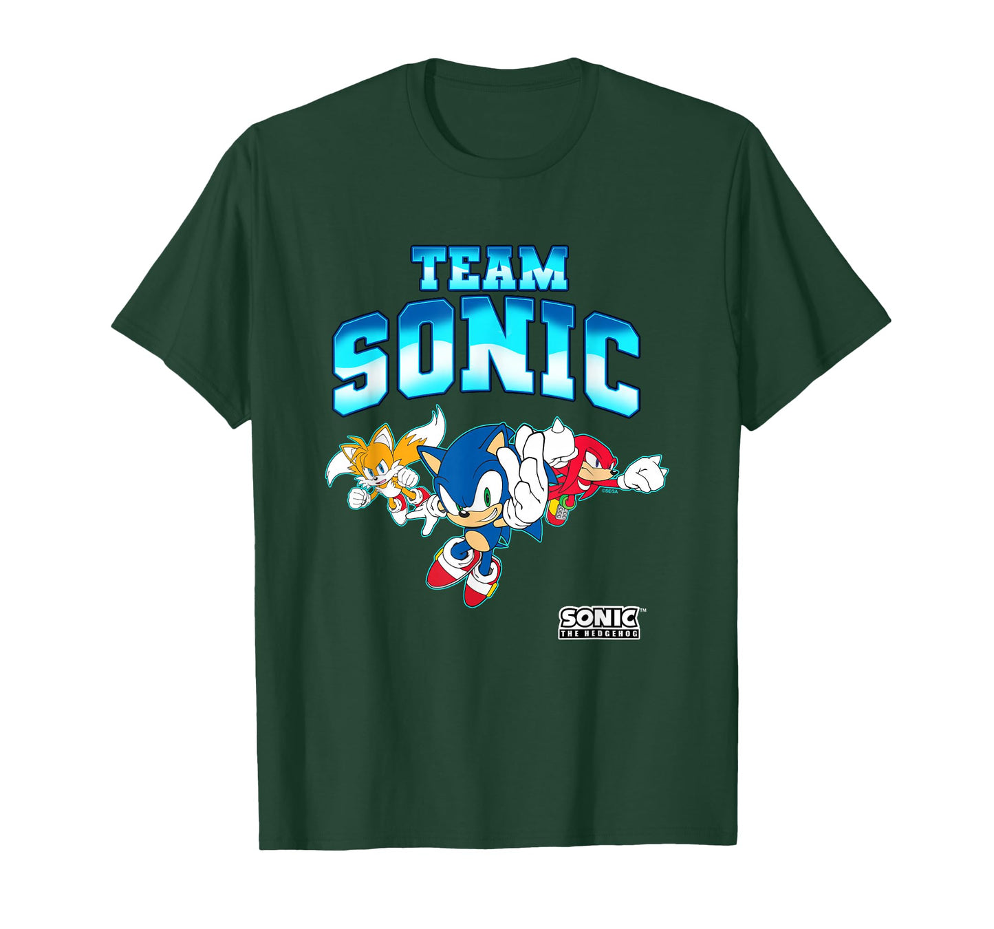 Sonic The Hedgehog Team Sonic Epic Group Shot T-Shirt