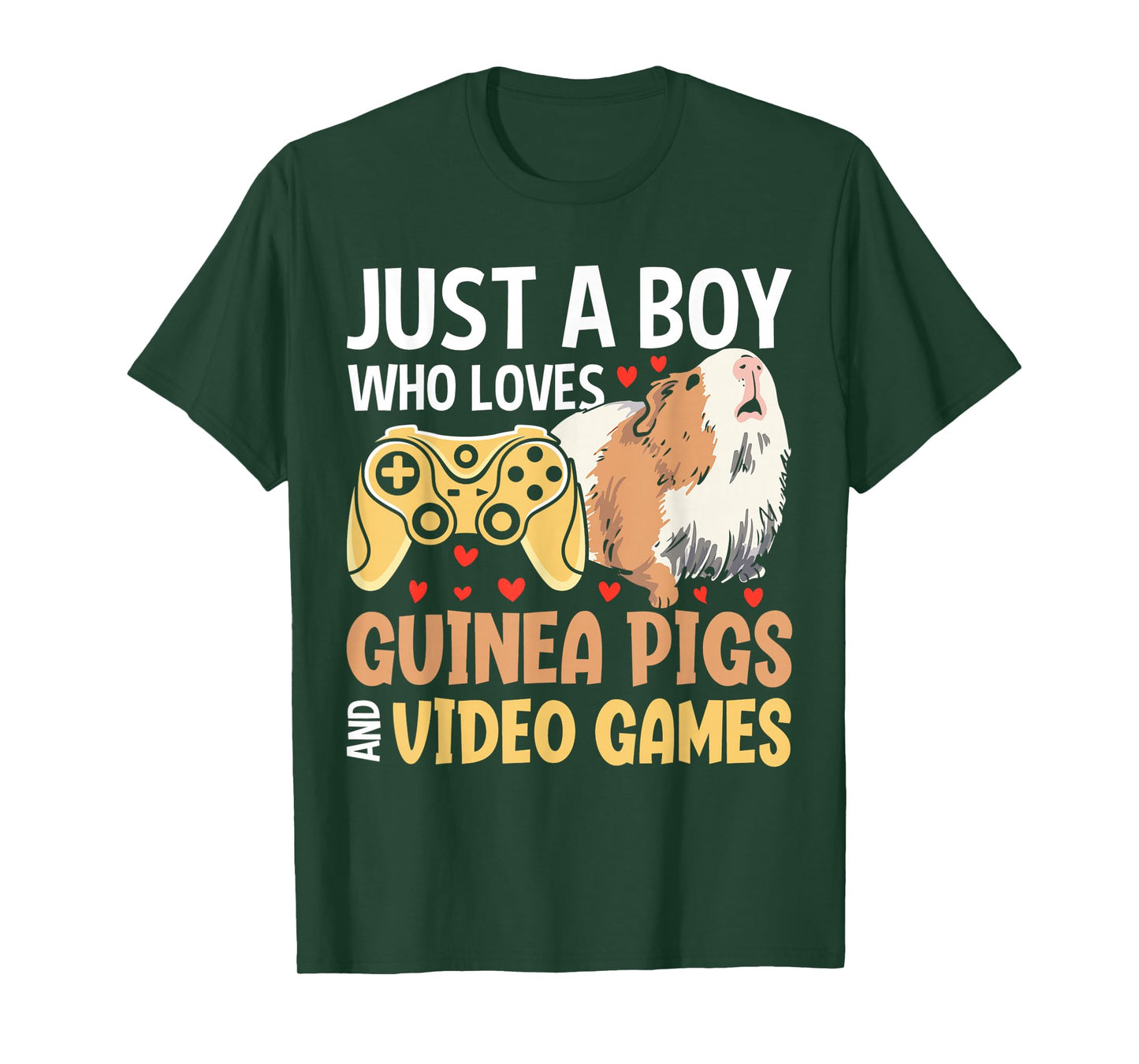 Just A Boy Who Loves Guinea Pigs And Video Games T-Shirt