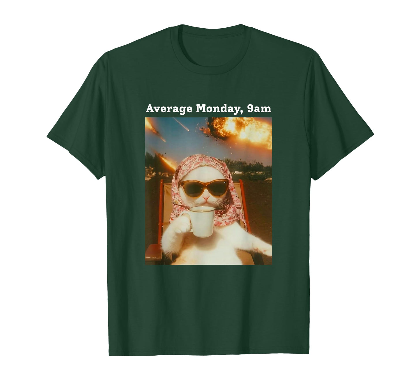 Cat Meme Average Monday 9AM Funny Sarcastic Back to Work Tee T-Shirt