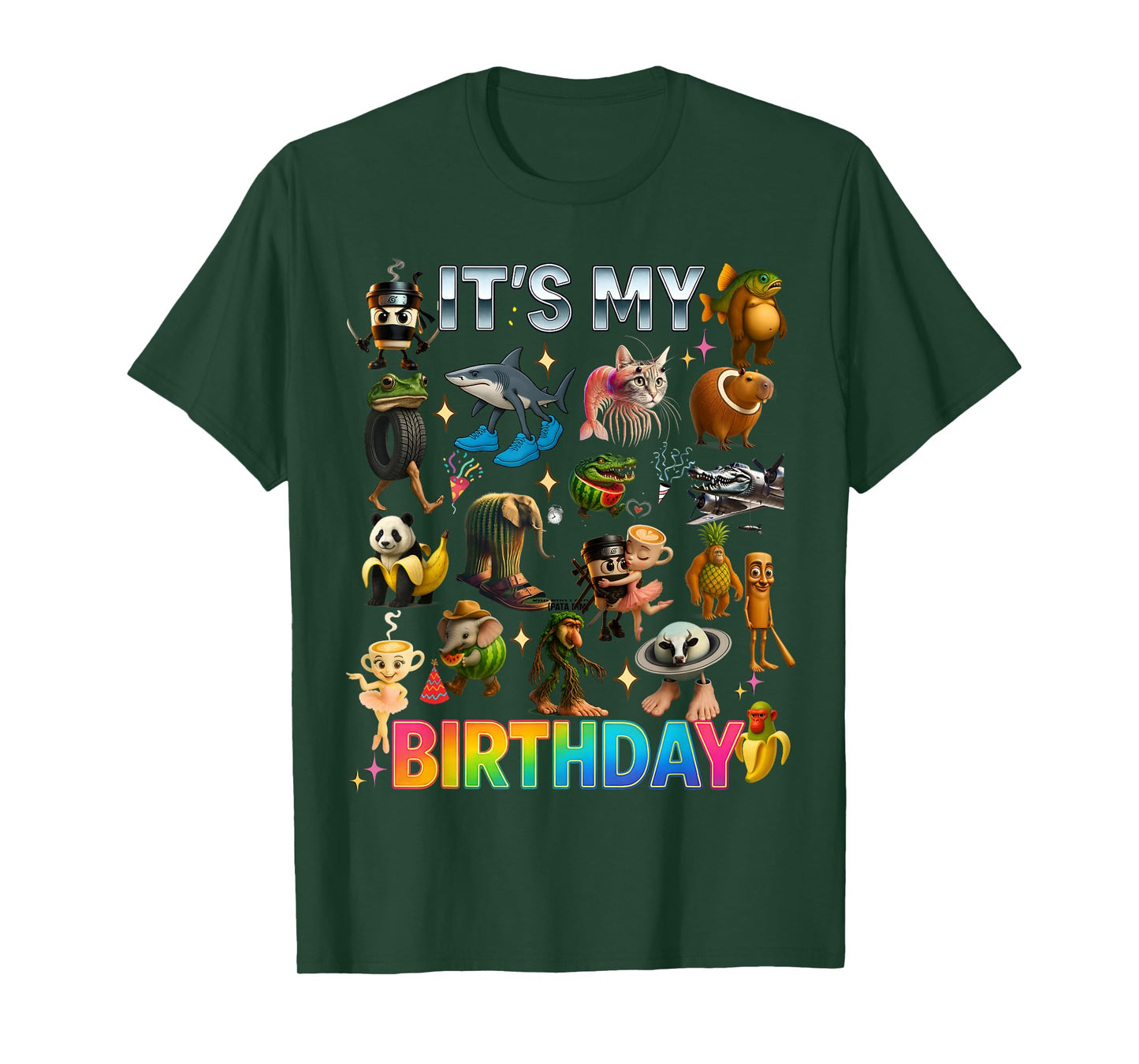 Italian Brainrot Meme It’s My Birthday Kids Boys Girls Teens T-Shirt