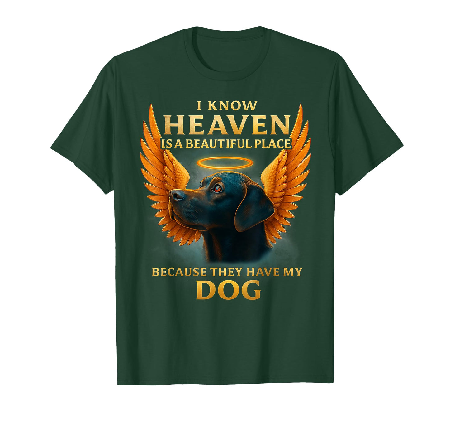 I Know Heaven is A Beautiful Place Because They Have My Dog T-Shirt