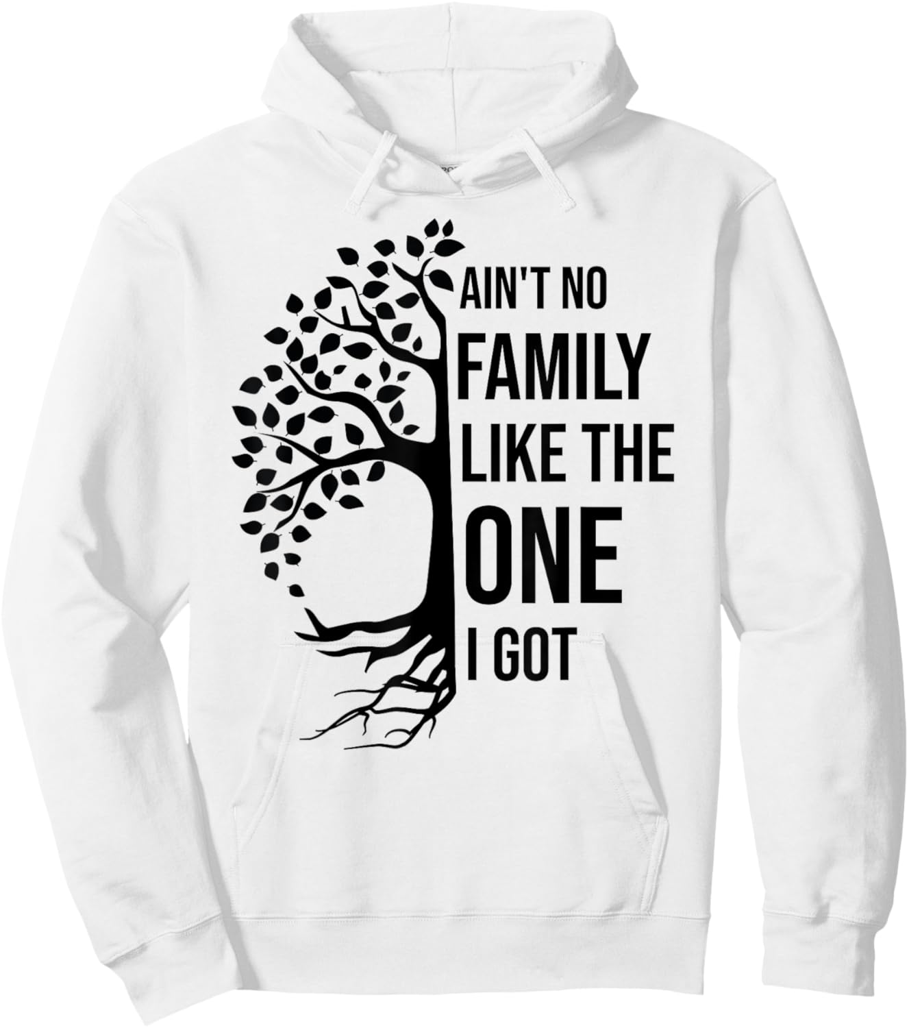 Ain't No Family Like The One I Got Funny Family Reunion Hoodie - Hoodie | White