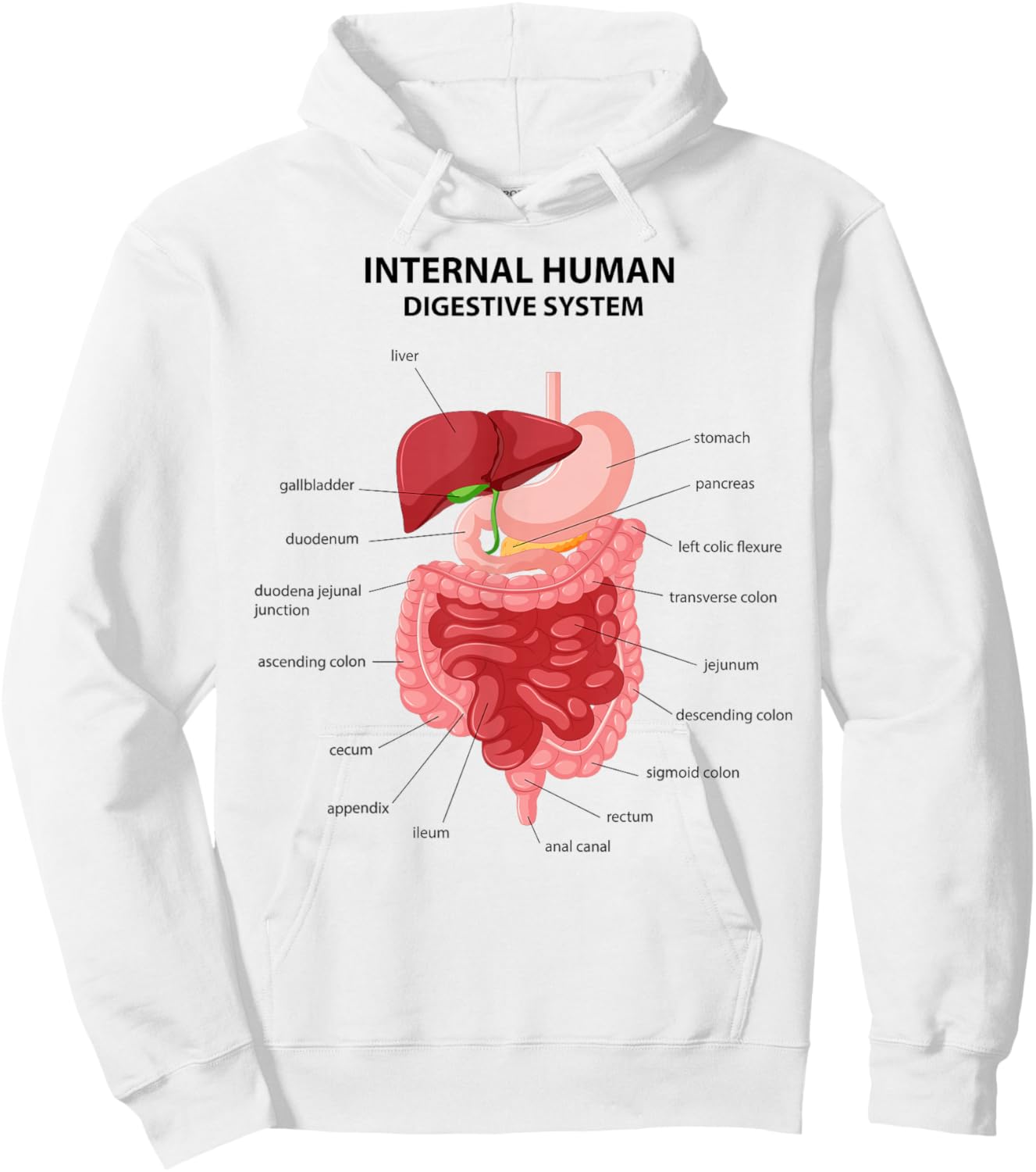 Funny Digestive System Anatomy Anatomical Biology Teacher Hoodie - Hoodie | White