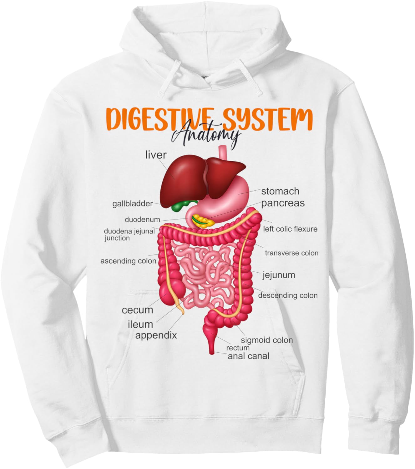 Funny Digestive System Anatomy Anatomical Biology Teacher Women Hoodie - Hoodie | White