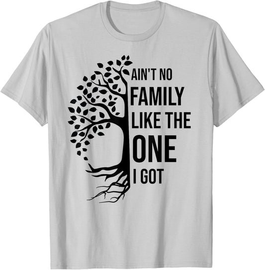 Ain't No Family Like The One I Got Funny Family Reunion T-Shirt - T-Shirt | Ash