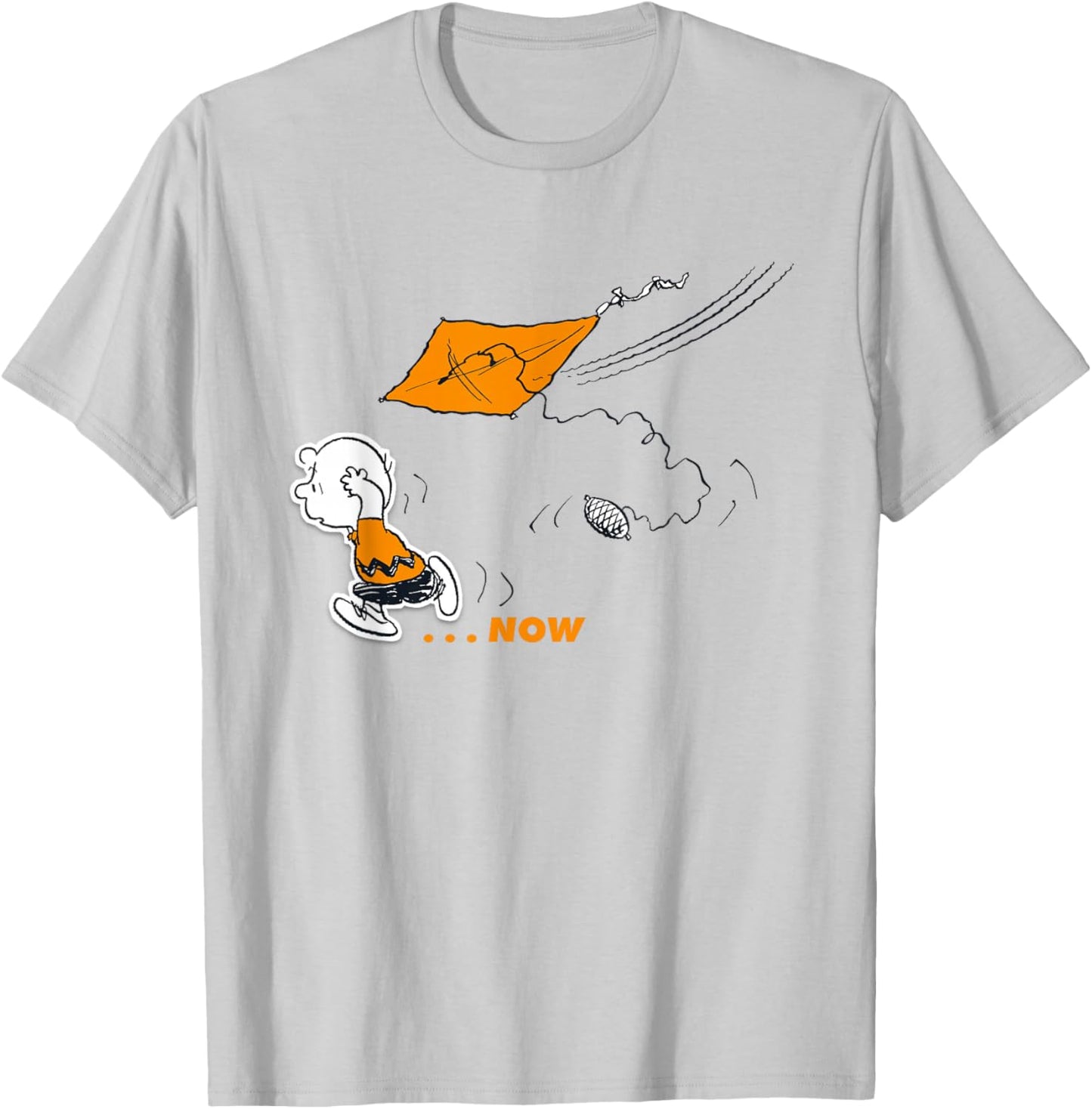 Peanuts Charlie Brown Then and Now T-Shirt - T-Shirt | Ash