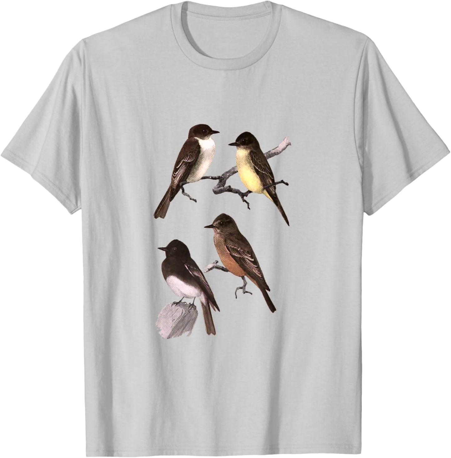 Phoebe Bird T-Shirt - T-Shirt | Ash