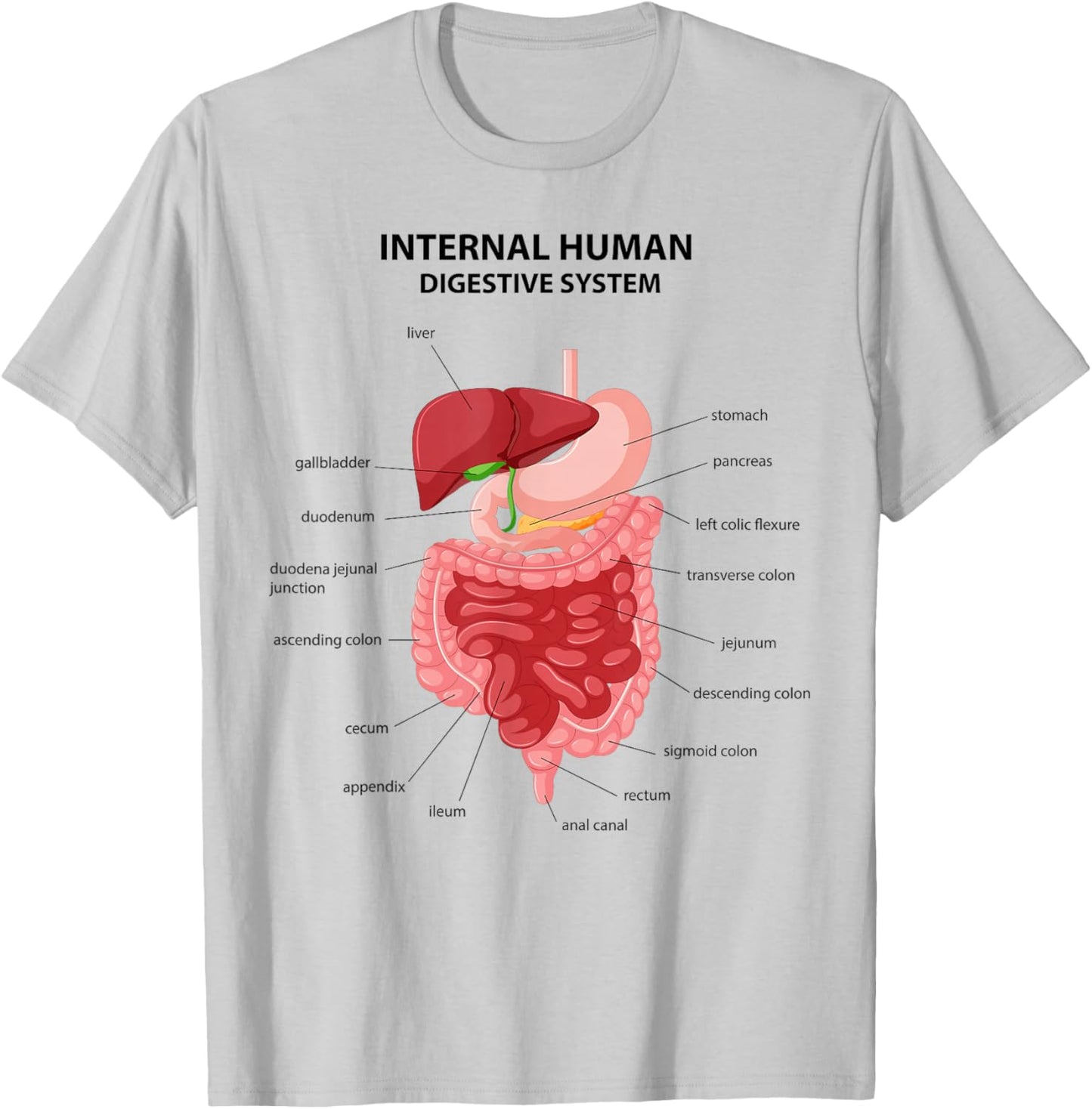Funny Digestive System Anatomy Anatomical Biology Teacher T-Shirt - T-Shirt | Ash