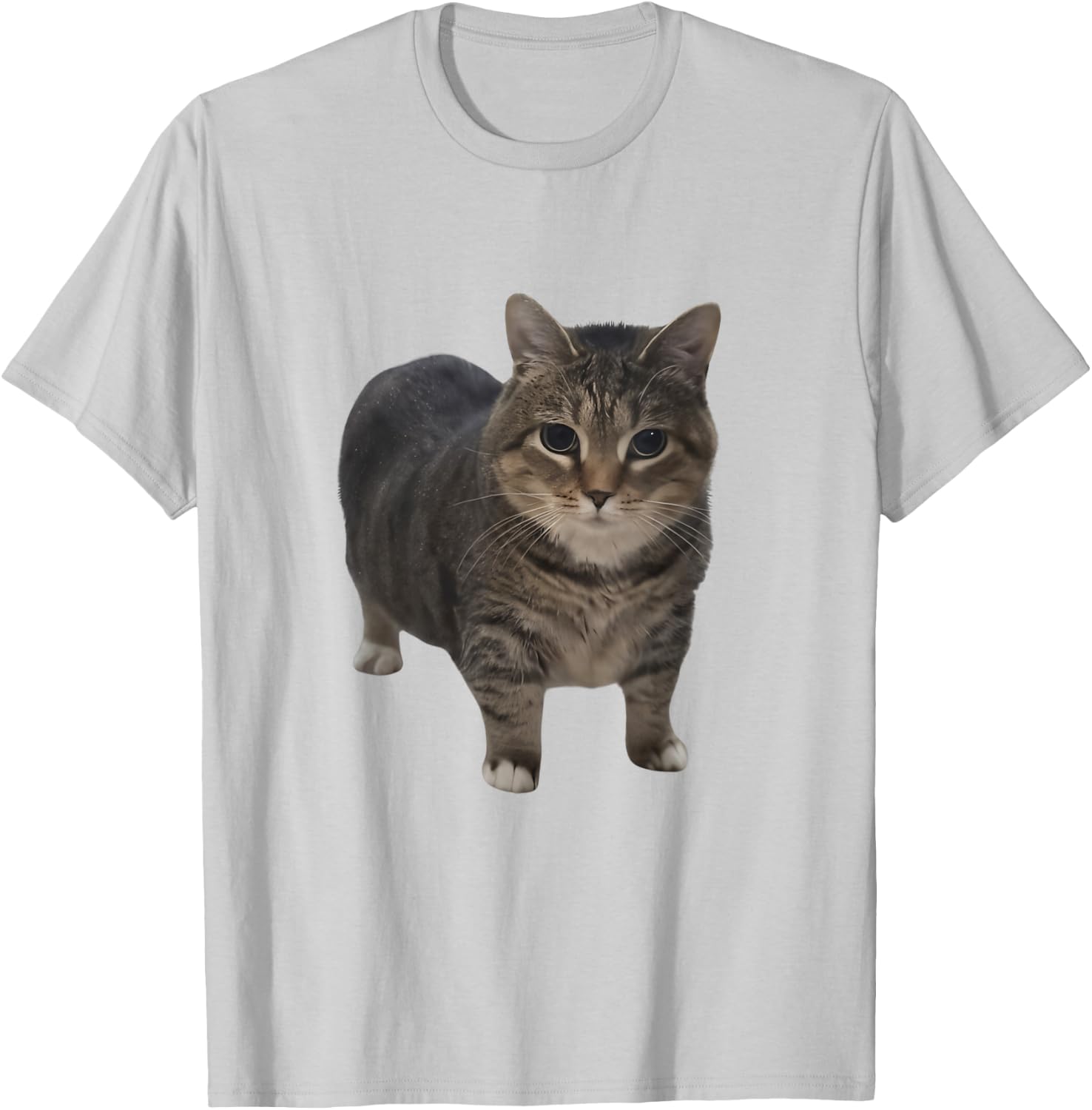 Funny oiia oiia Spinning Cat Meme Oiiai Oiiiai brainrot Men Women Kids T-Shirt - T-Shirt | Ash