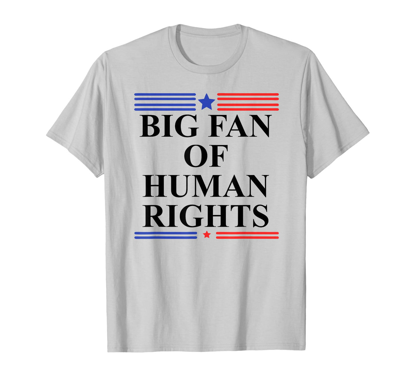 Big Fan of Human Rights Protest Sign Pro Democracy No Kings T-Shirt