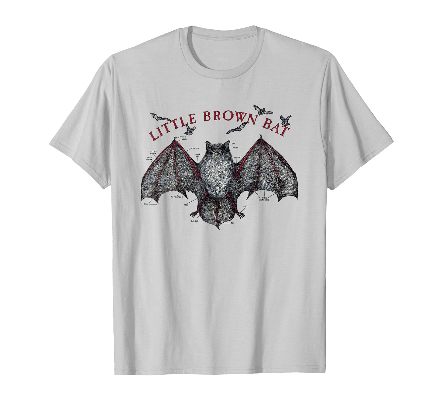 Little Brown Bat Anatomy Science Diagram T-Shirt