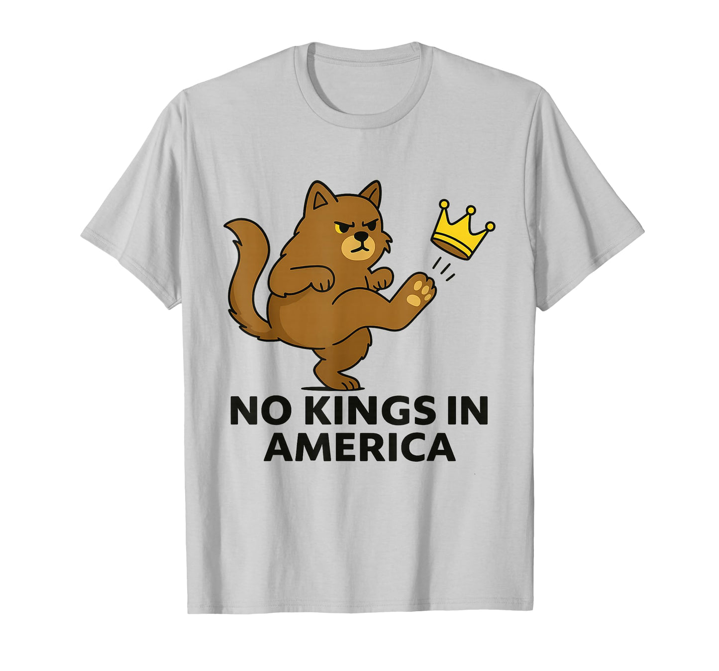 No Kings in America We The People Political Men Women T-Shirt