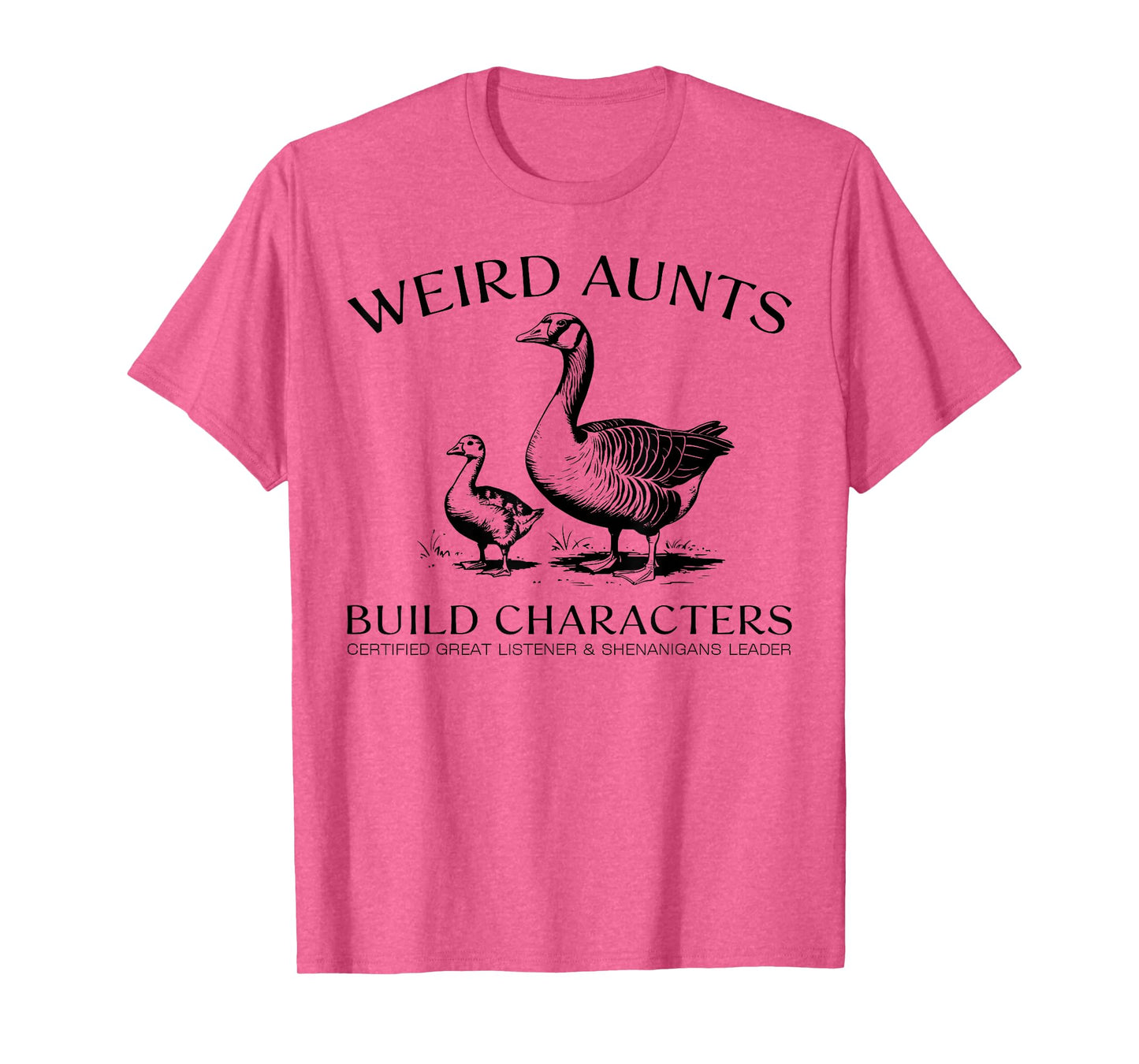 Weird Aunt Builds Character Vintage Silly Goose Aunt Quote T-Shirt