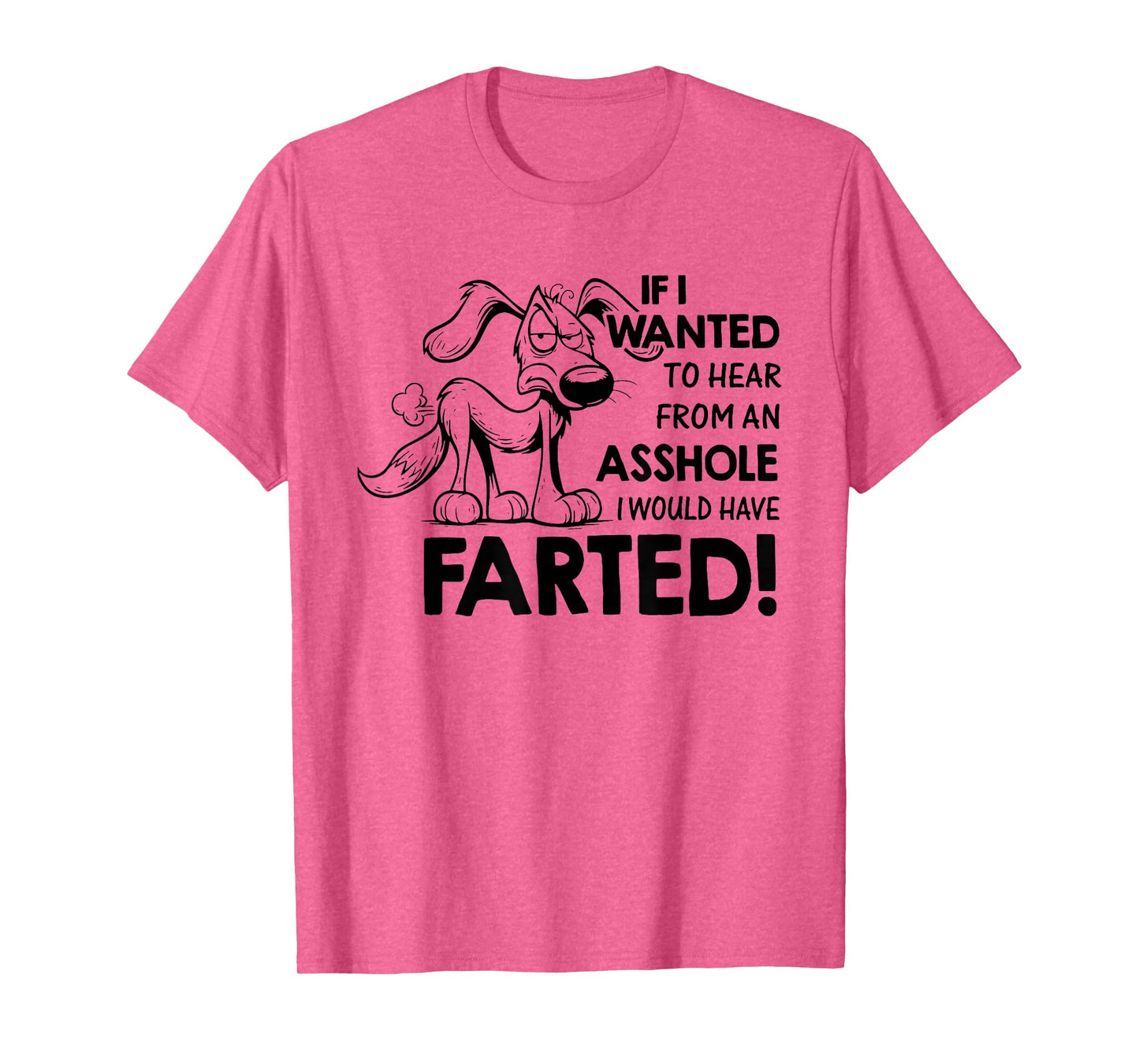 If I Wanted to Hear from an Asshole I Would Have Farted T-Shirt
