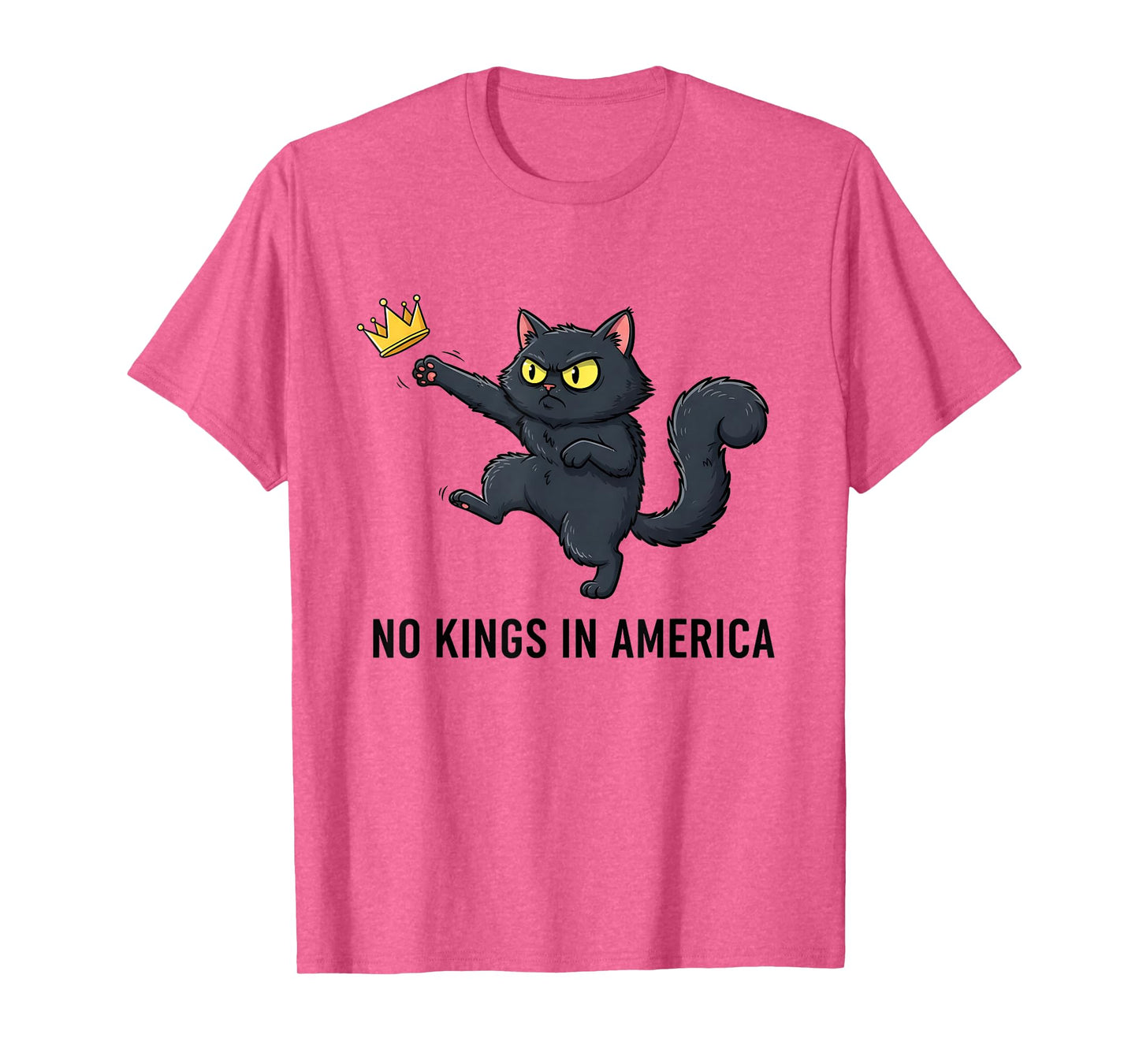 No Kings in America We The People Cat Democracy Patriotic T-Shirt