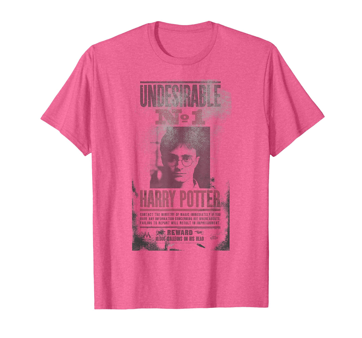 Harry Potter Undesirable No 1 Distressed T-Shirt