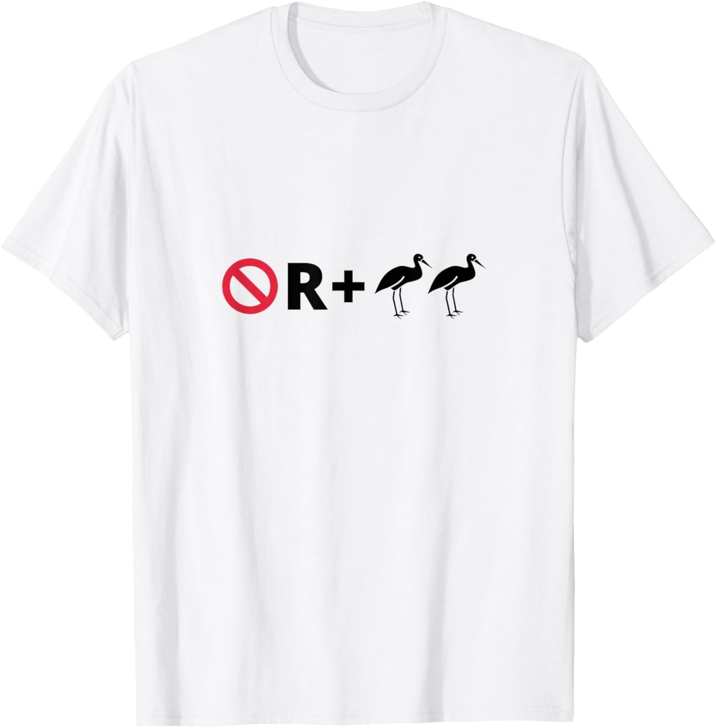 No R + Egrets Funny Pictogram Puzzle Pictograph Humor T-Shirt - T-Shirt | White