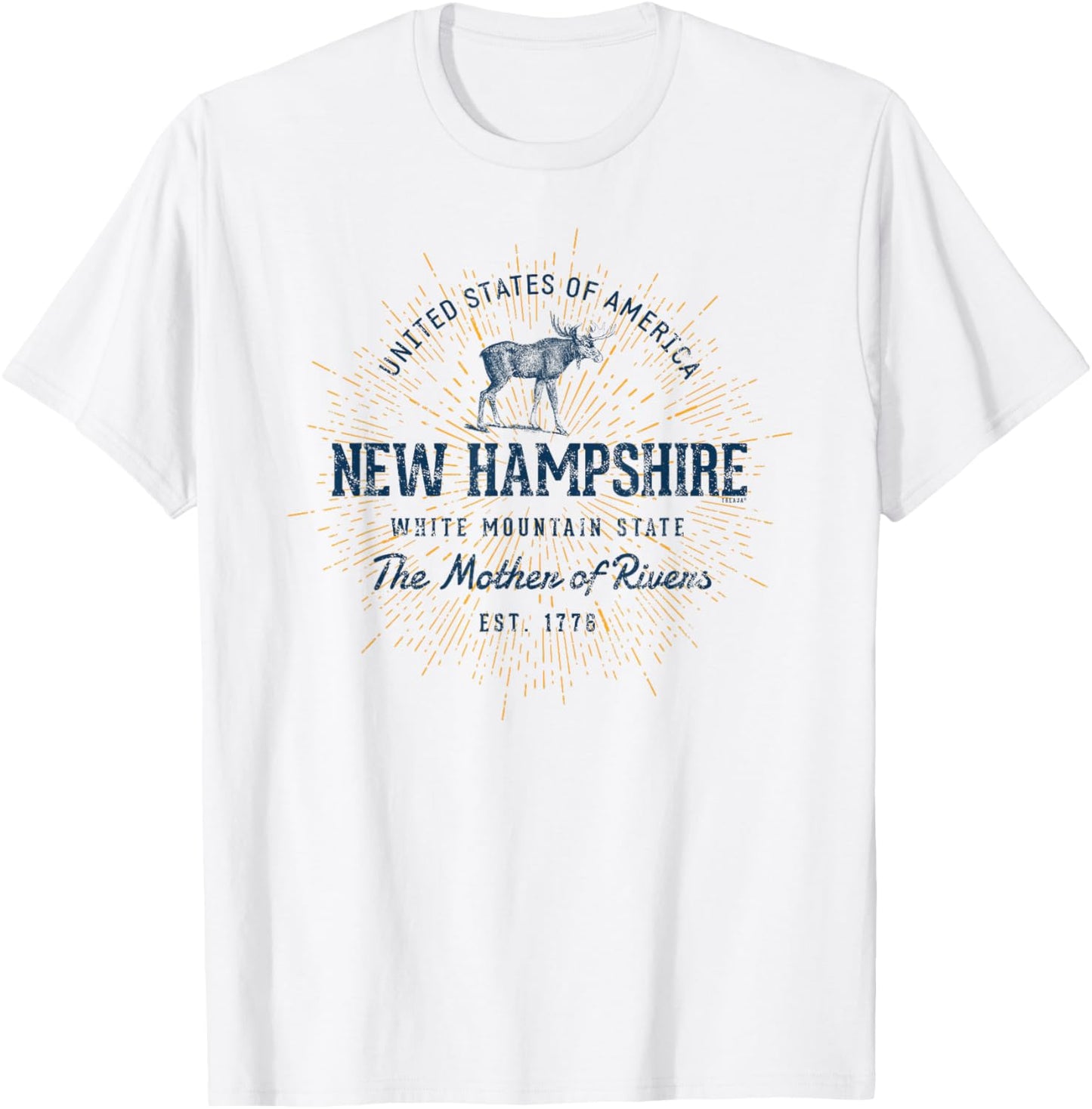 Retro Vintage State of New Hampshire T-Shirt - T-Shirt | White