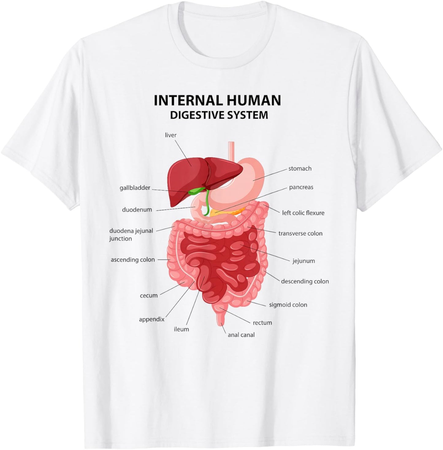 Funny Digestive System Anatomy Anatomical Biology Teacher T-Shirt - T-Shirt | White